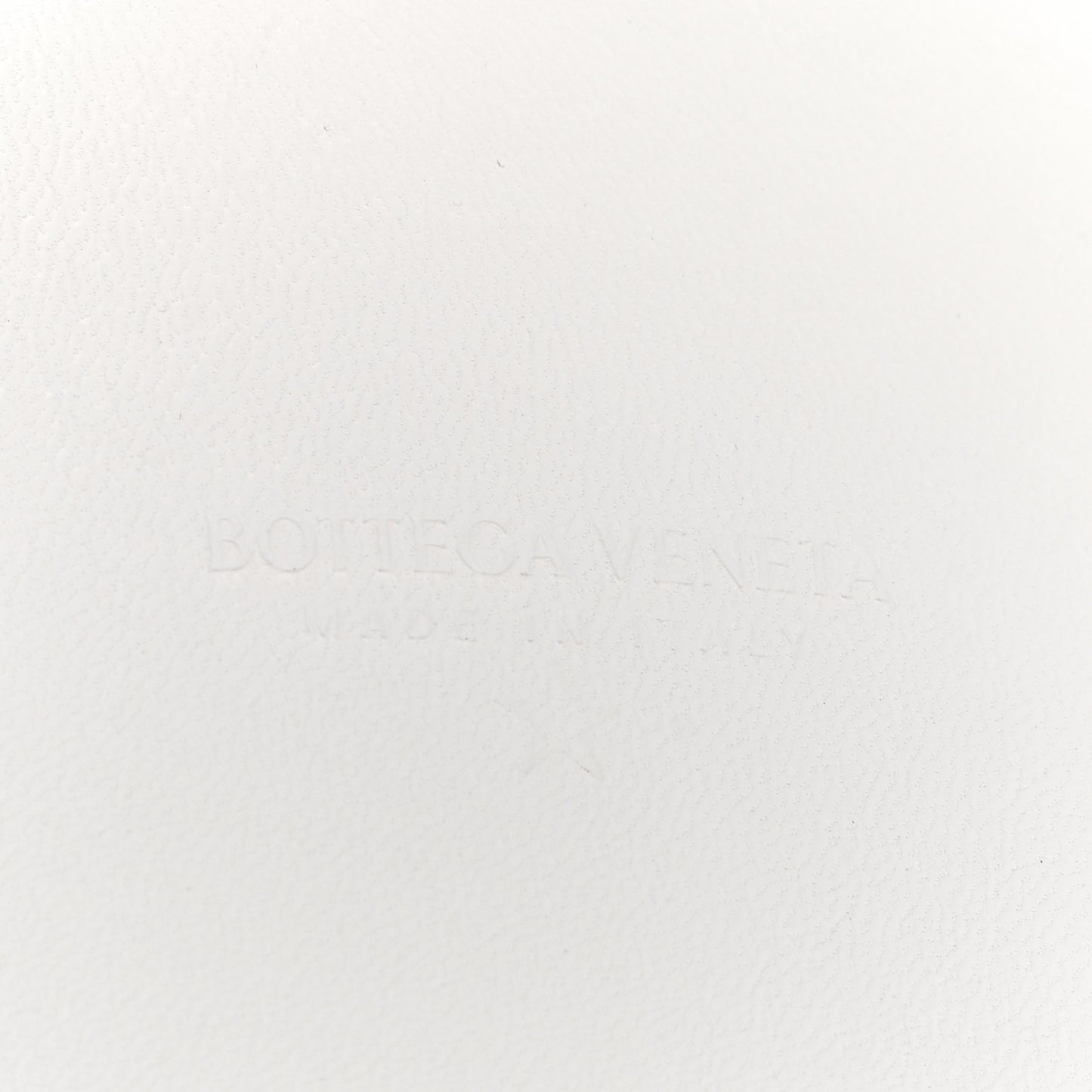 Brushed Calfskin Cradle Fold Over Shoulder Bag White Parakeet