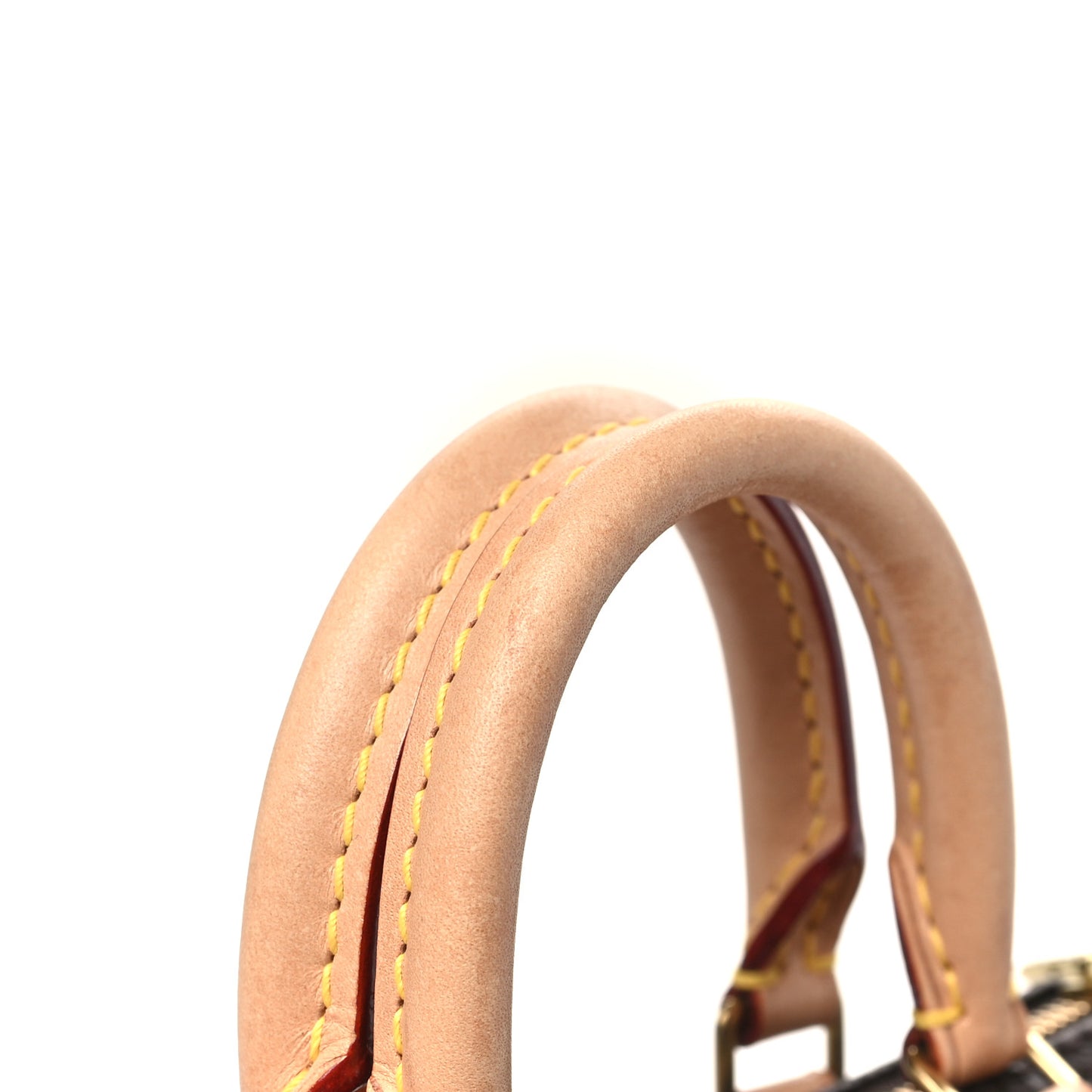 Monogram Nano Speedy