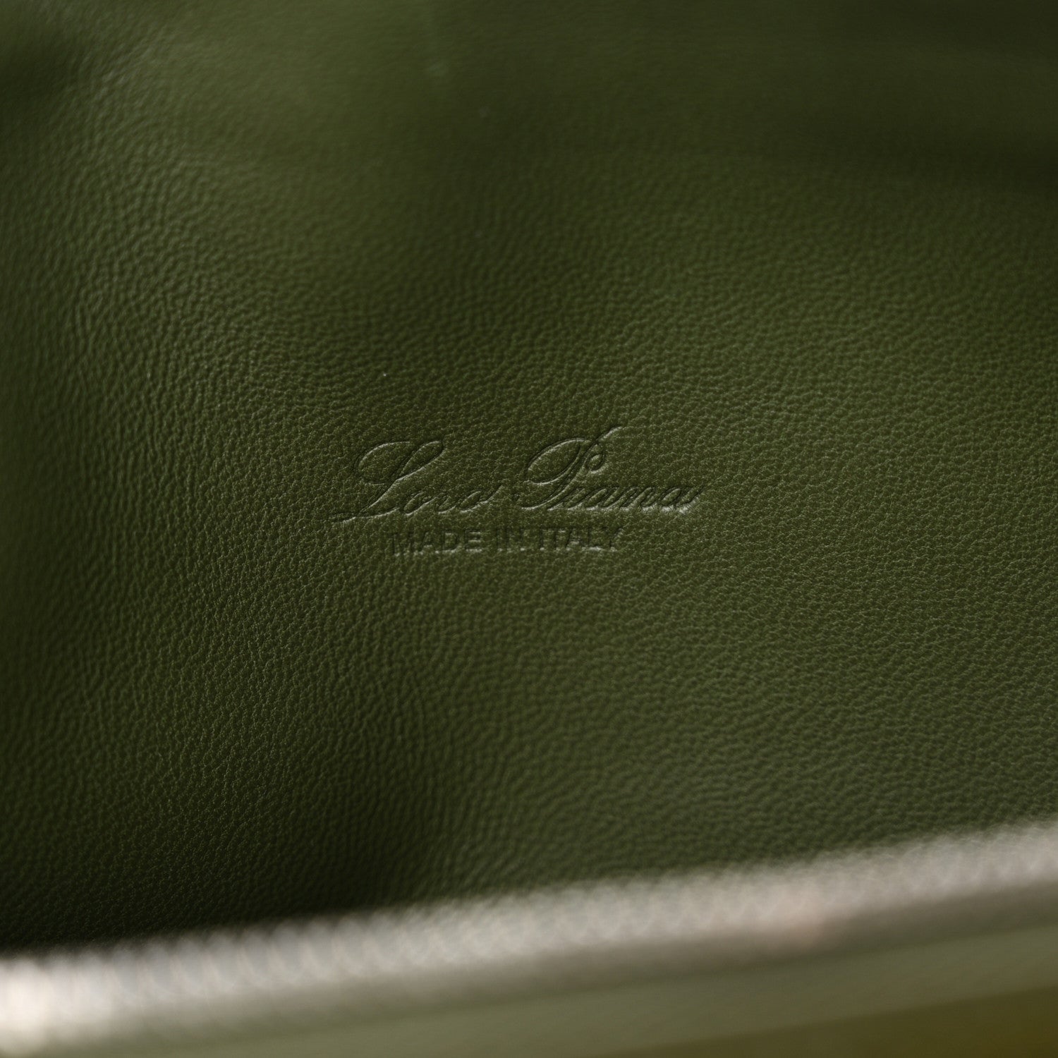 Loro Piana Ostrich L19 Extra Pocket Pouch Dark Lichen Green 6 of 10