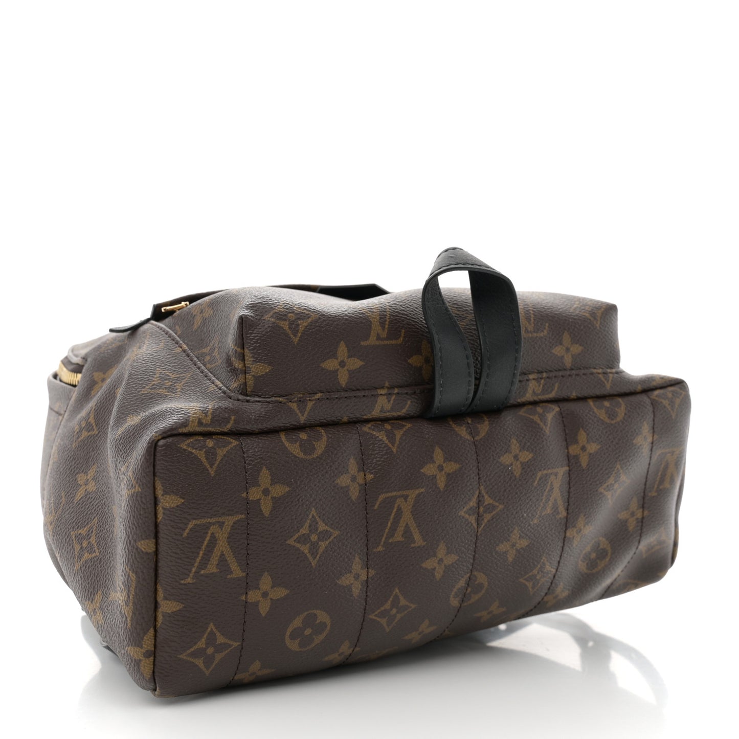 Monogram Palm Springs Backpack MM