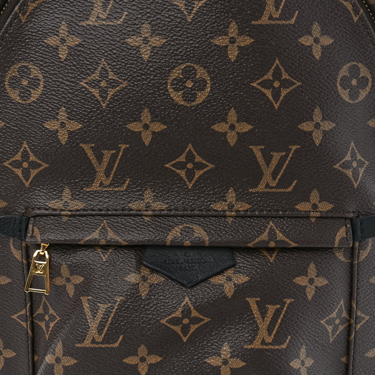 Monogram Palm Springs Backpack PM
