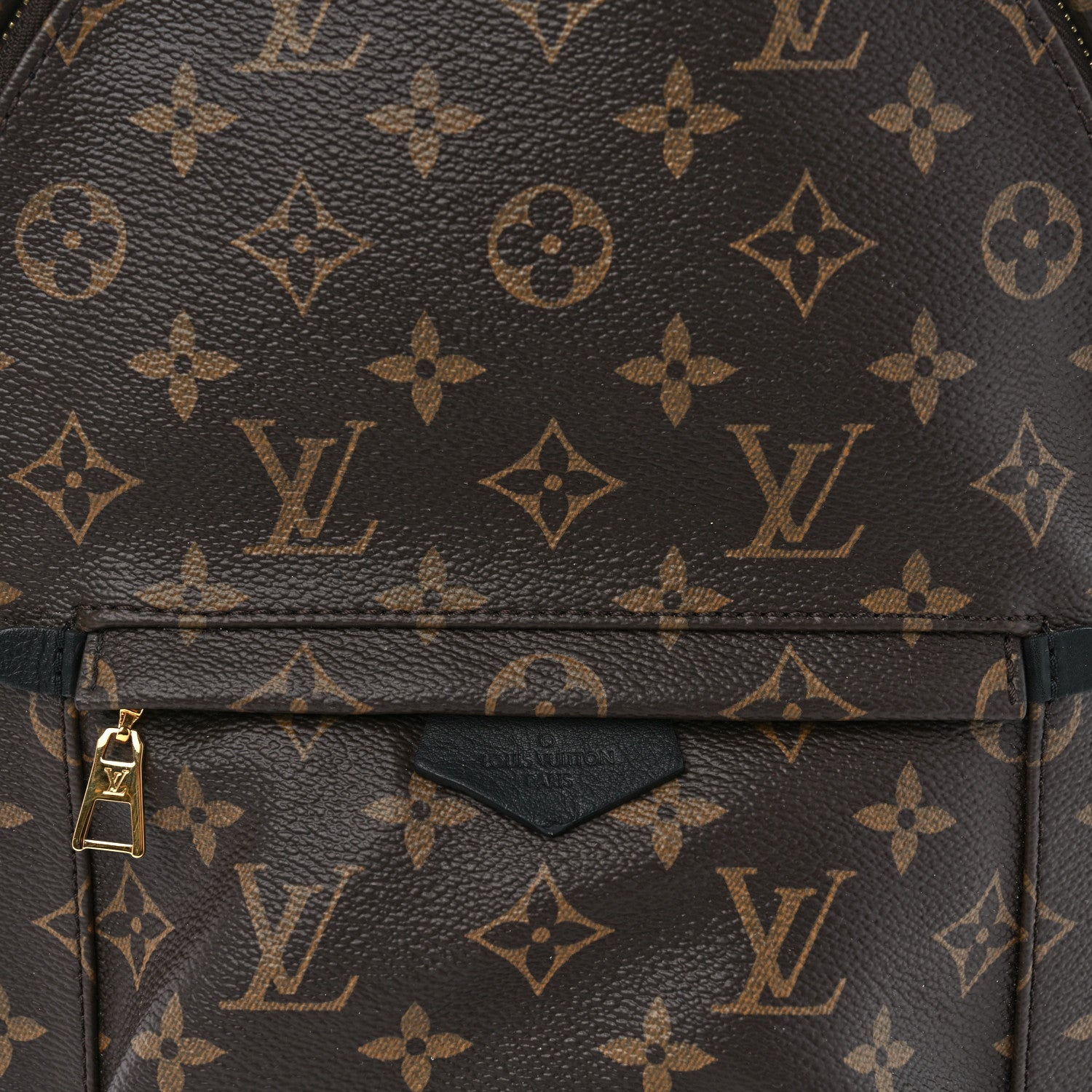 Louis Vuitton Monogram Palm Springs Backpack PM 8 of 11