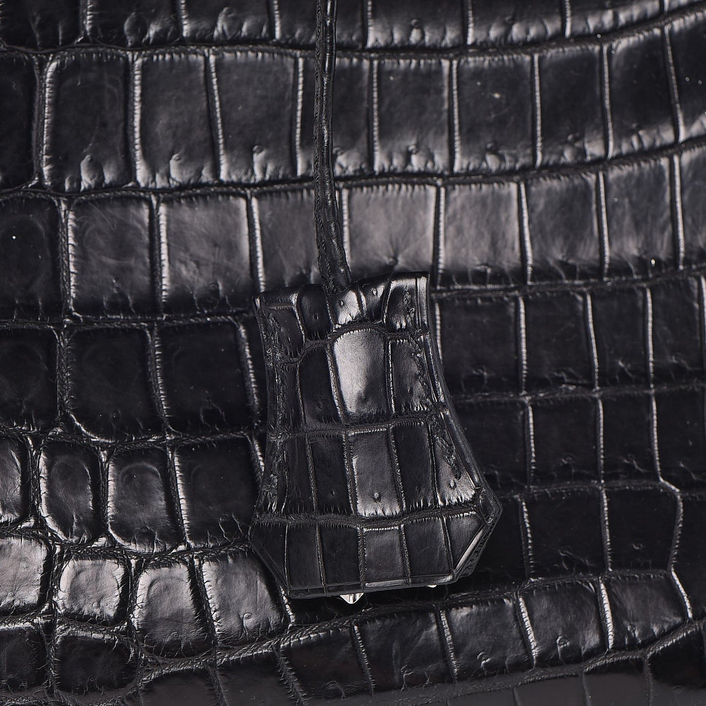 Matte Niloticus Crocodile Birkin 30 Black