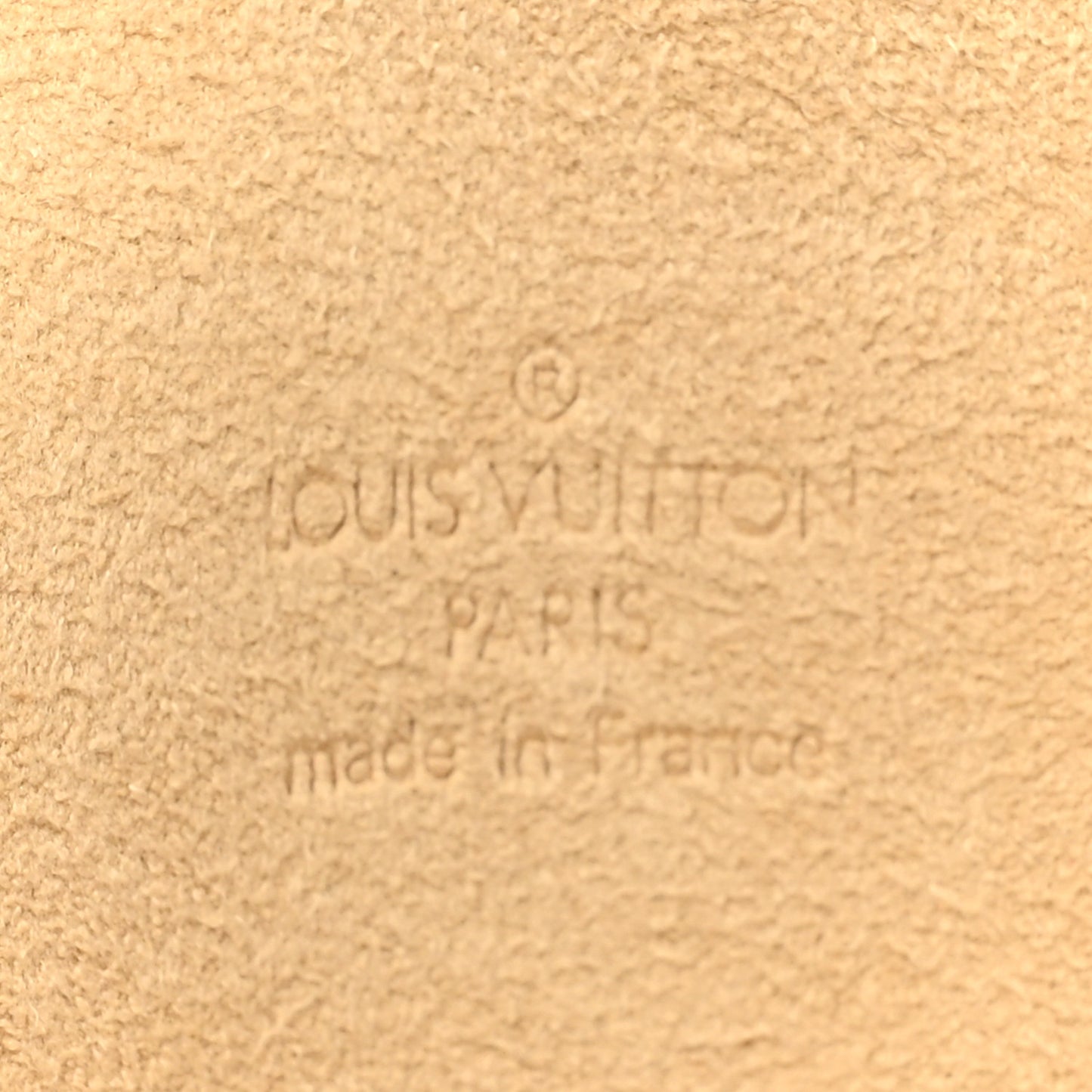 Monogram Pochette Florentine XS