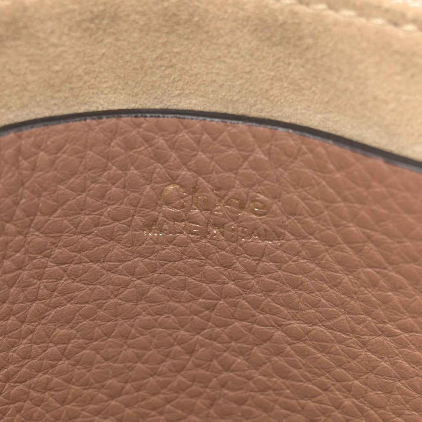 Grained Calfskin Small Hayley Hobo Nut