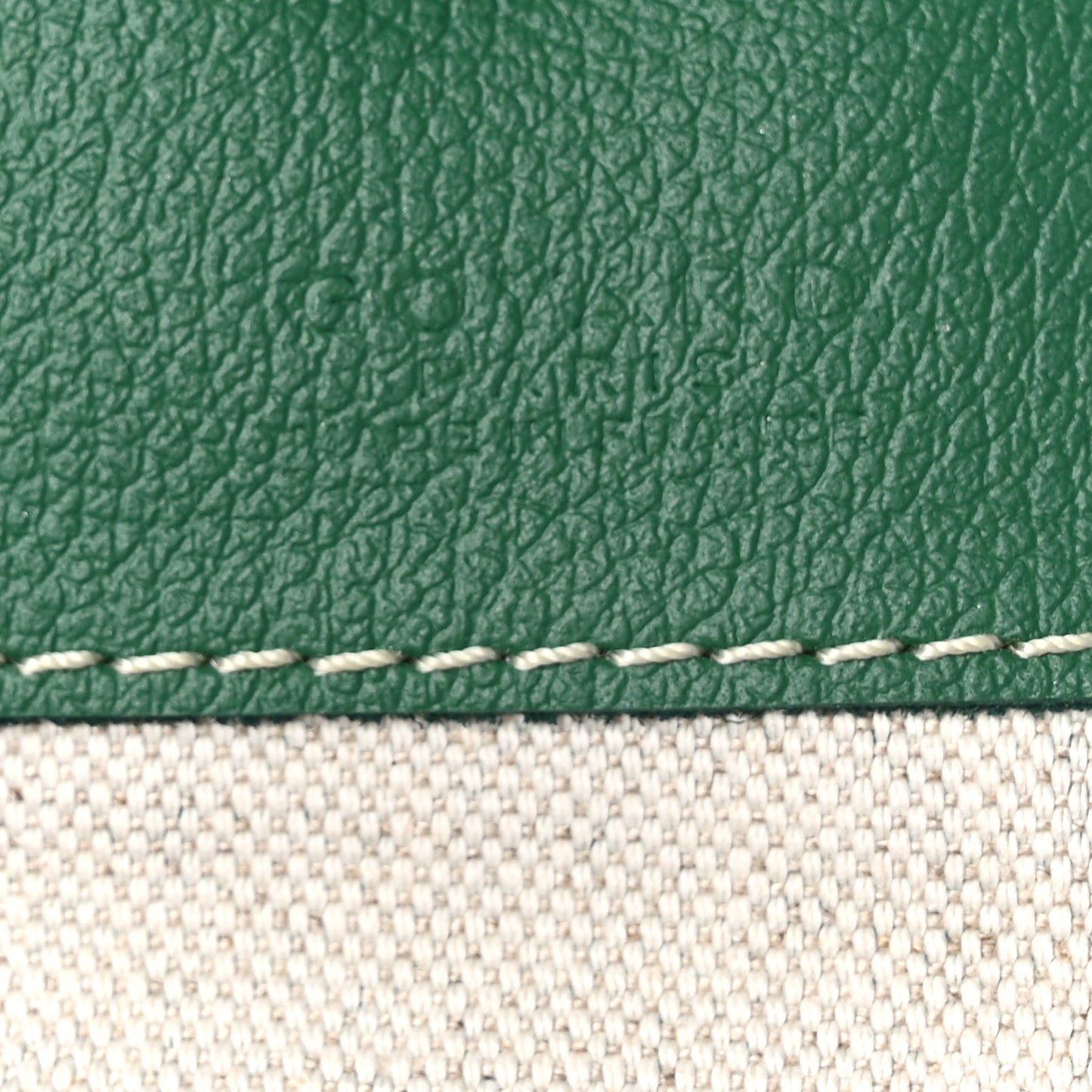 Goyardine Saint Louis PM Green