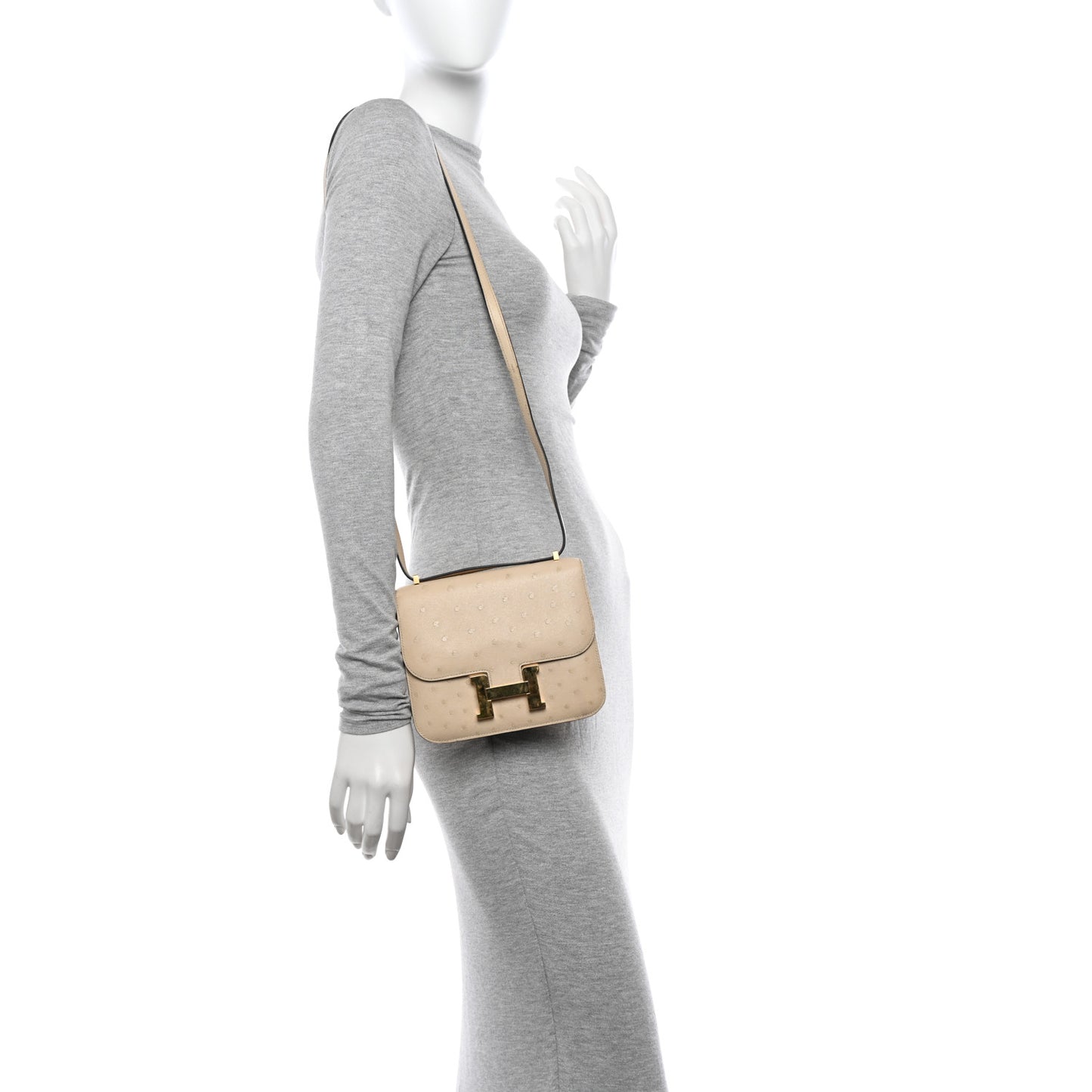 Ostrich Constance 18 Parchemin