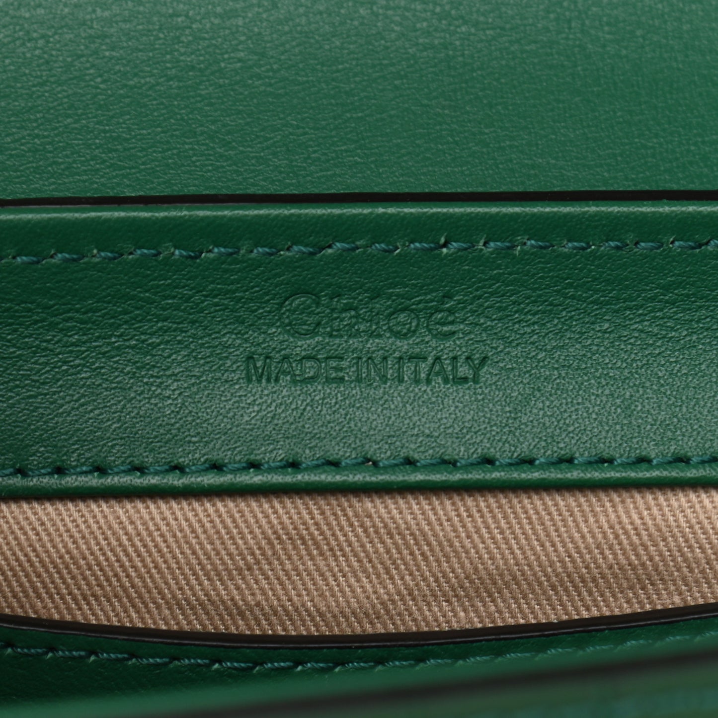 Calfskin Crocodile Embossed Mini C Double Carry Woodsy Green