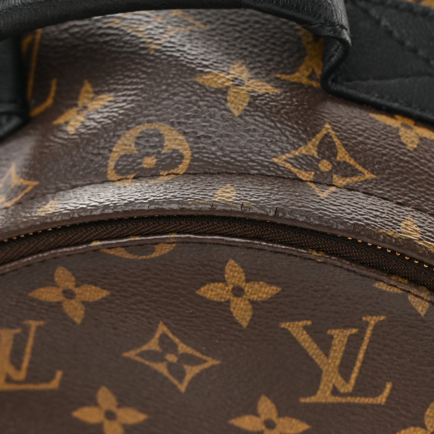 Monogram Palm Springs Backpack PM