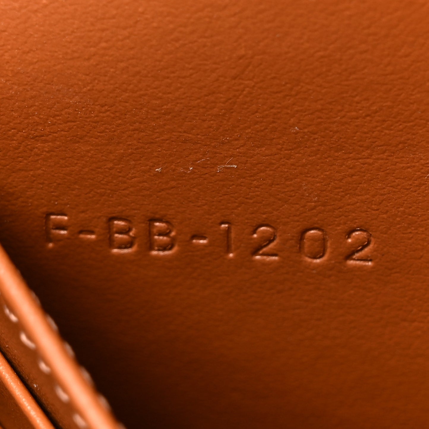 Triomphe Canvas Lambskin Wallet On Strap Tan