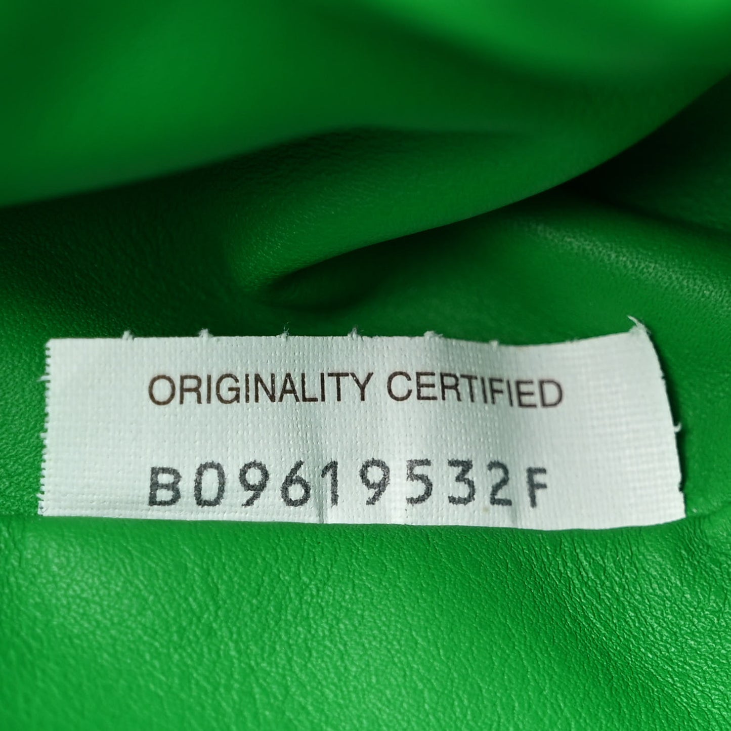 Butter Calfskin The Mini Pouch Parakeet