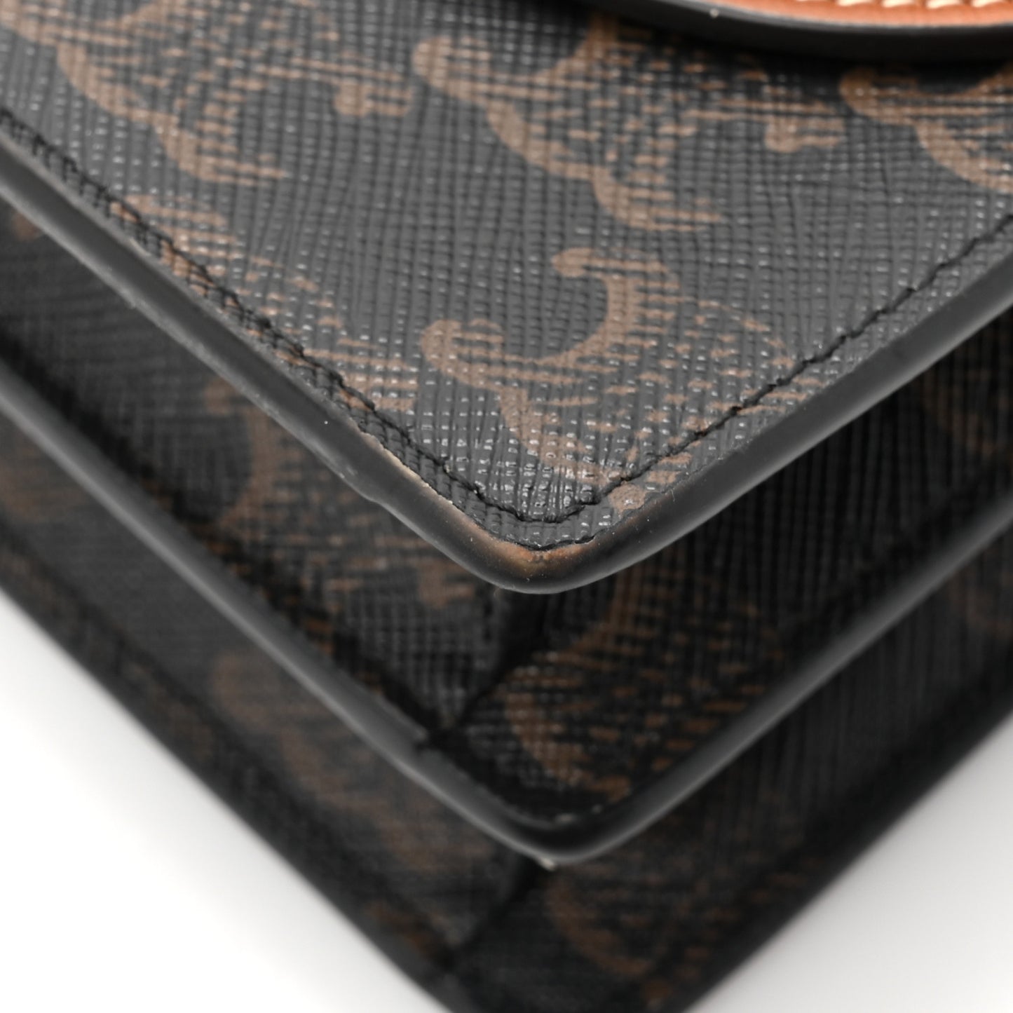 Triomphe Canvas Lambskin Wallet On Strap Tan