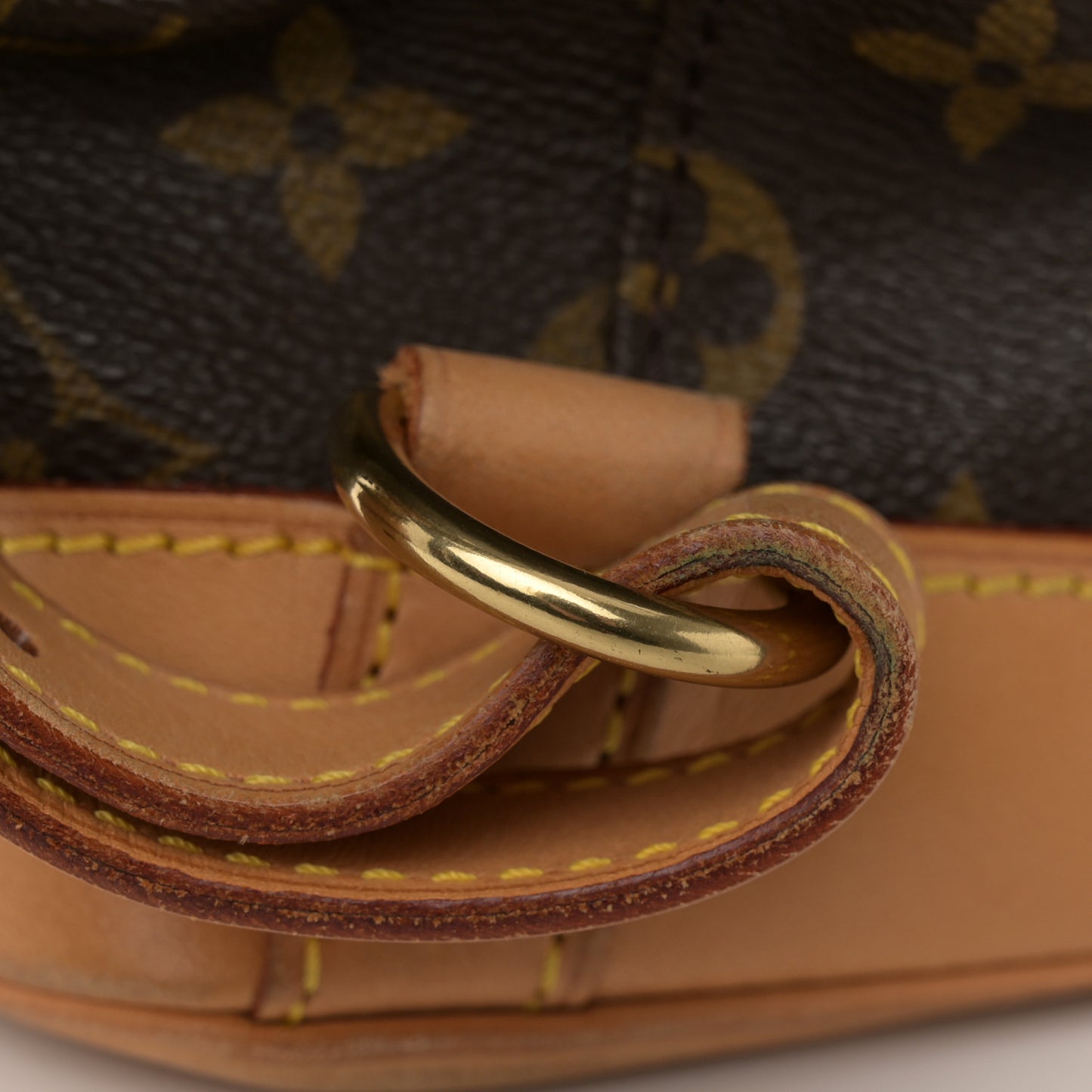 Monogram Montsouris GM Backpack