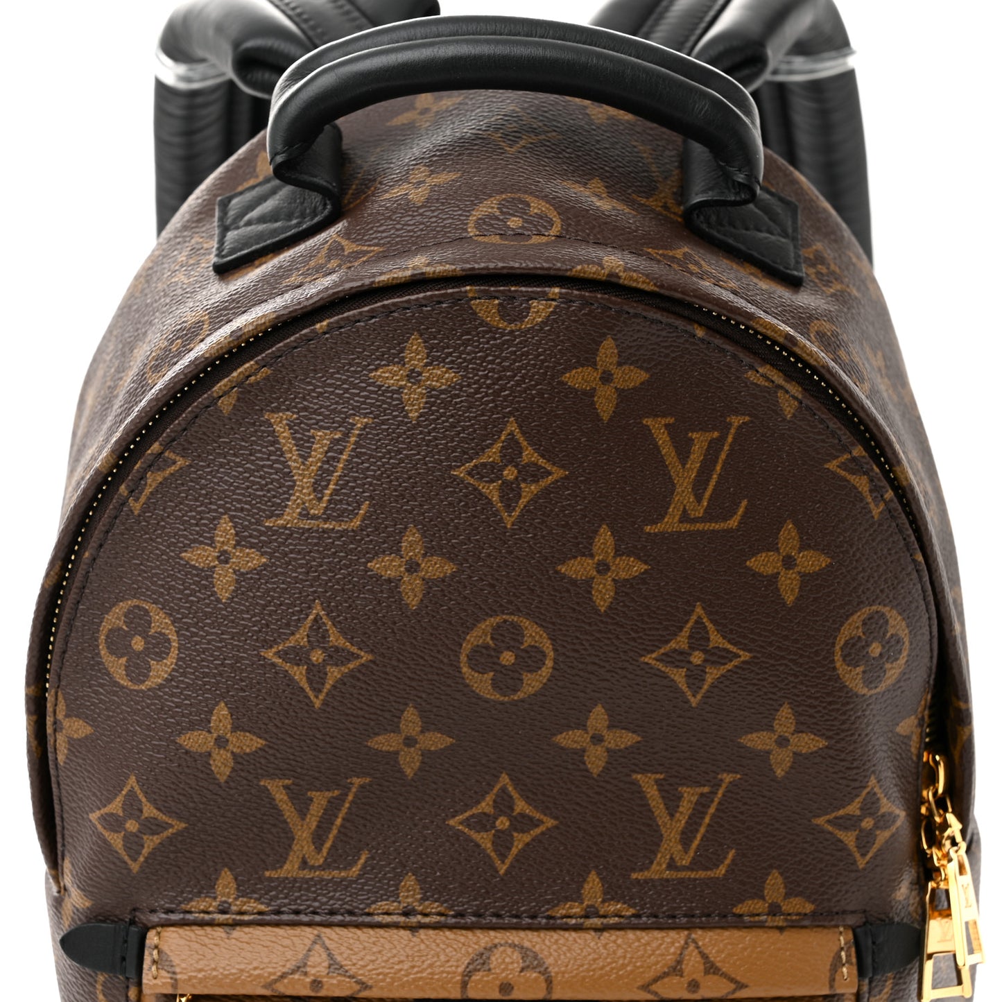 Reverse Monogram Palm Springs Backpack PM