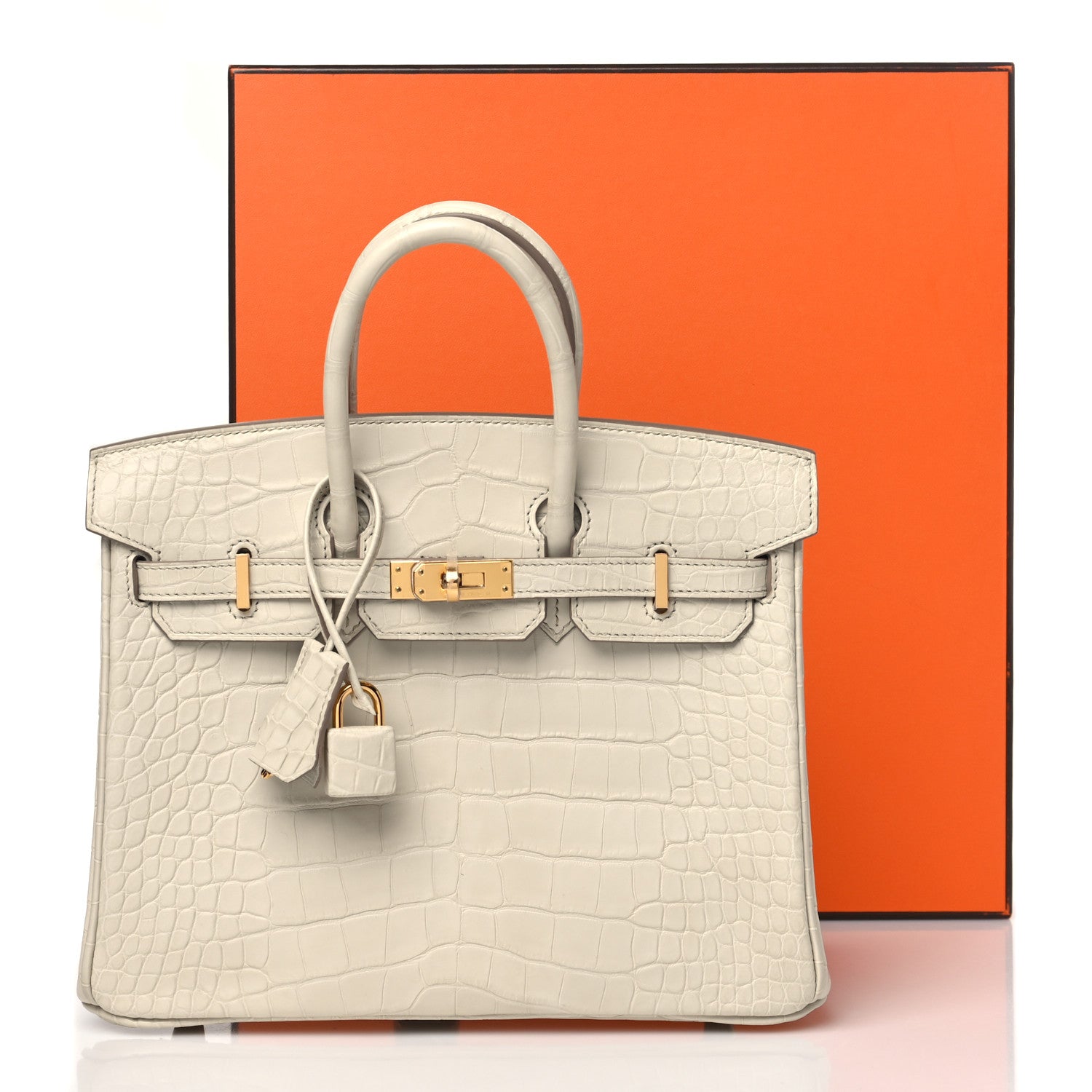 Hermes Matte Alligator Birkin 25 Beton 11 of 11