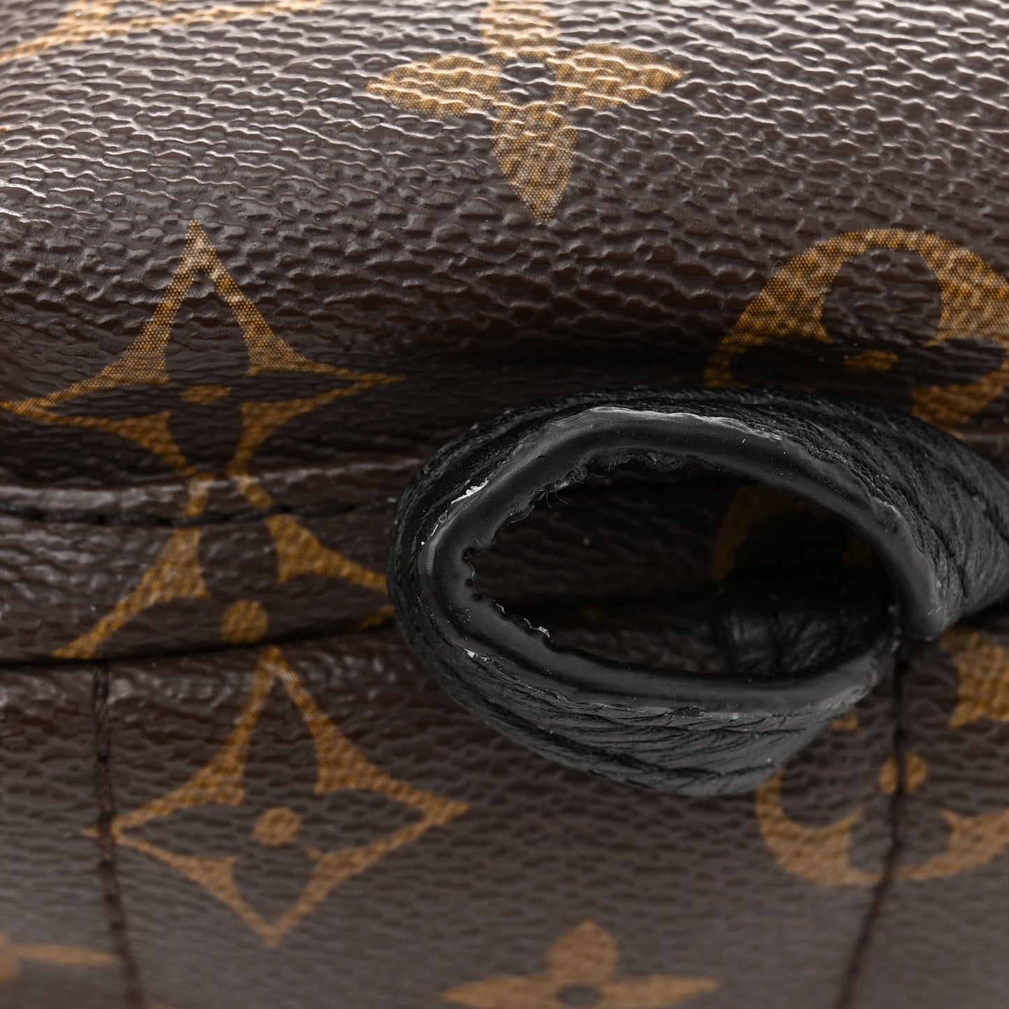 Monogram World Tour Palm Springs Backpack Mini