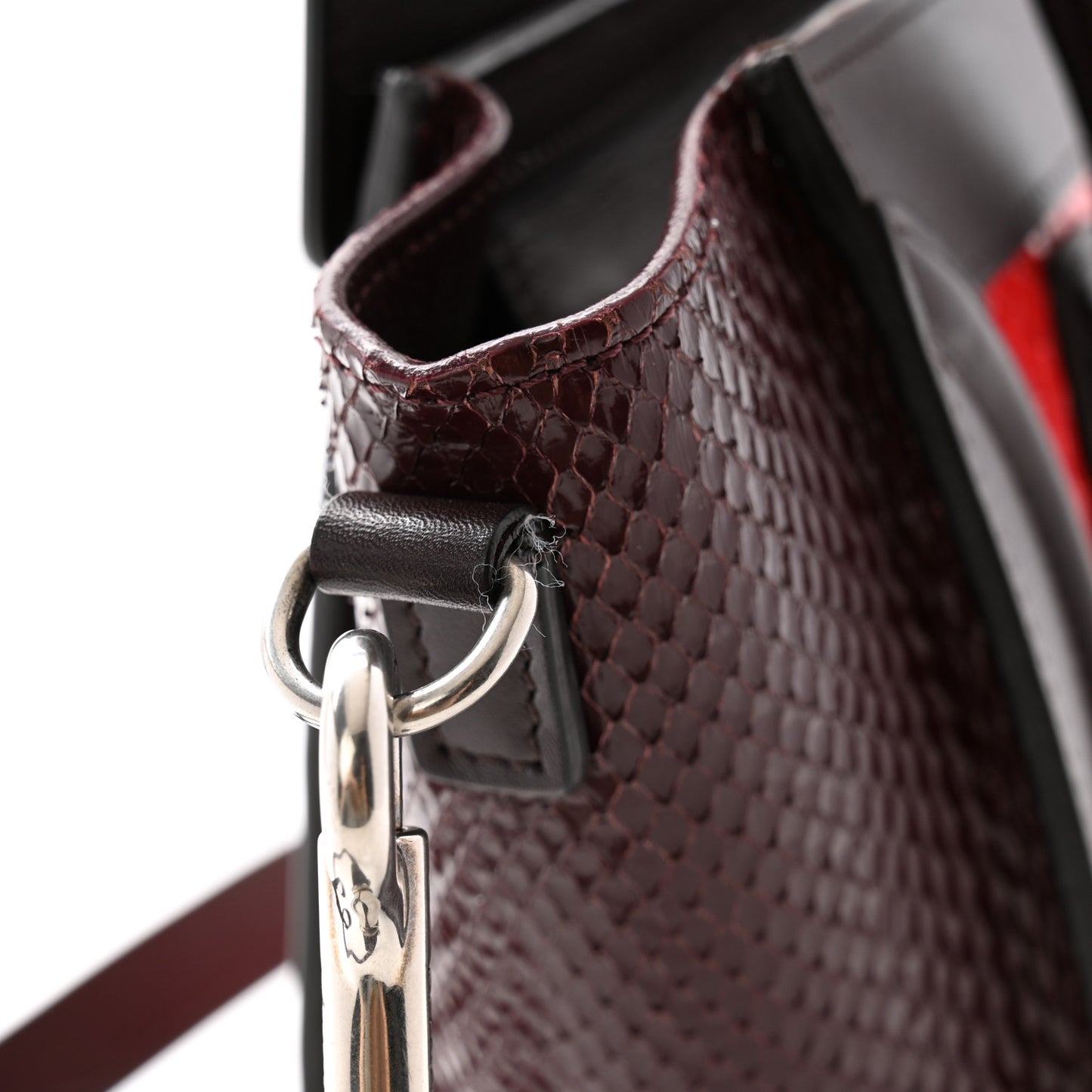 Snakeskin Smooth Calfskin Nano Luggage Chili