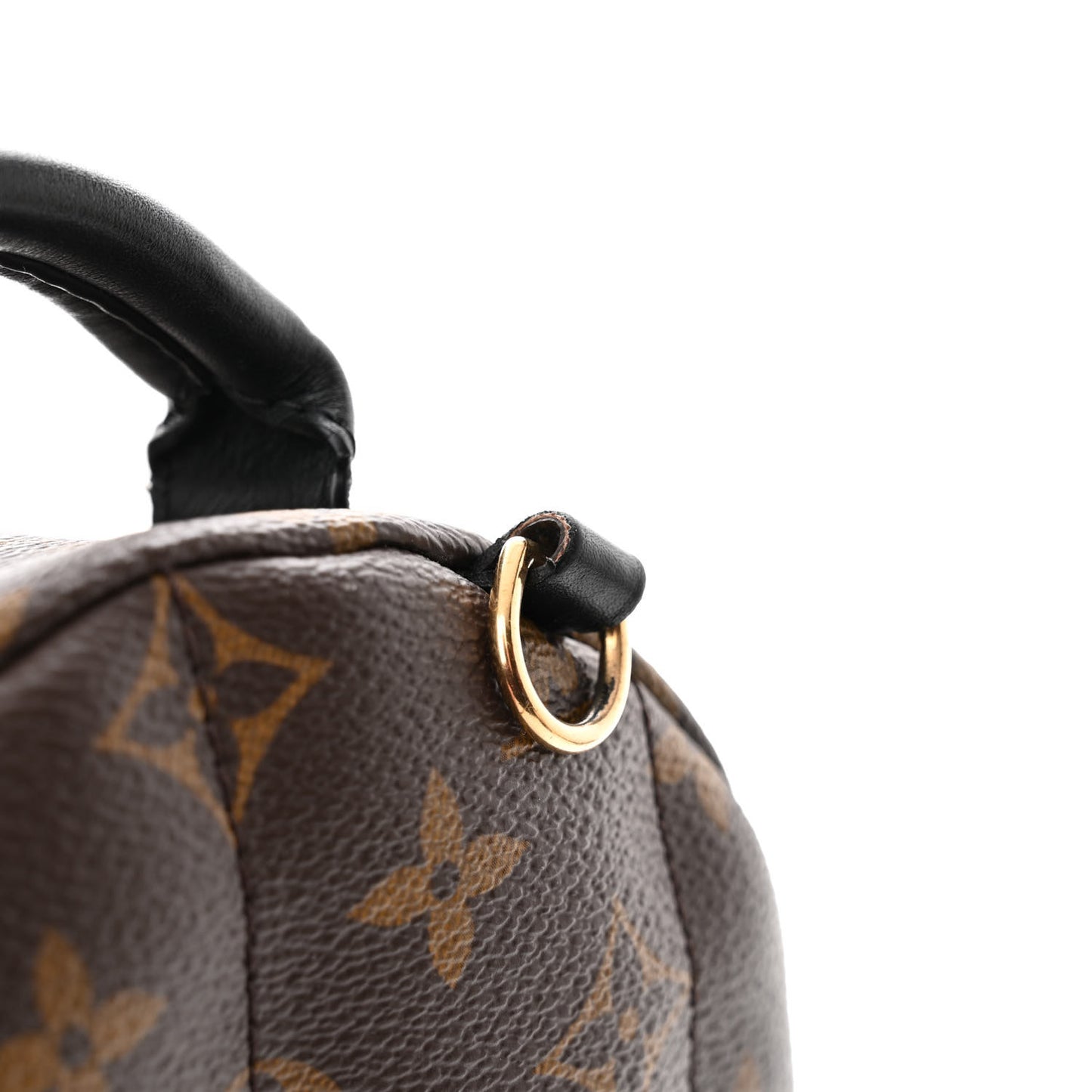 Monogram Palm Springs Backpack Mini