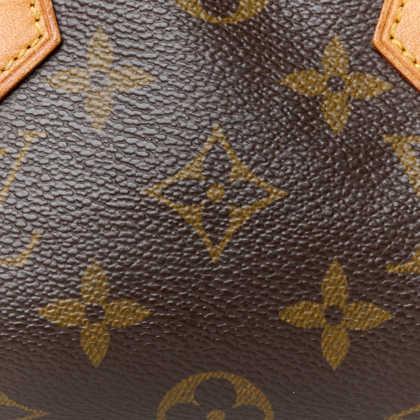 Monogram Mini Sac HL Speedy