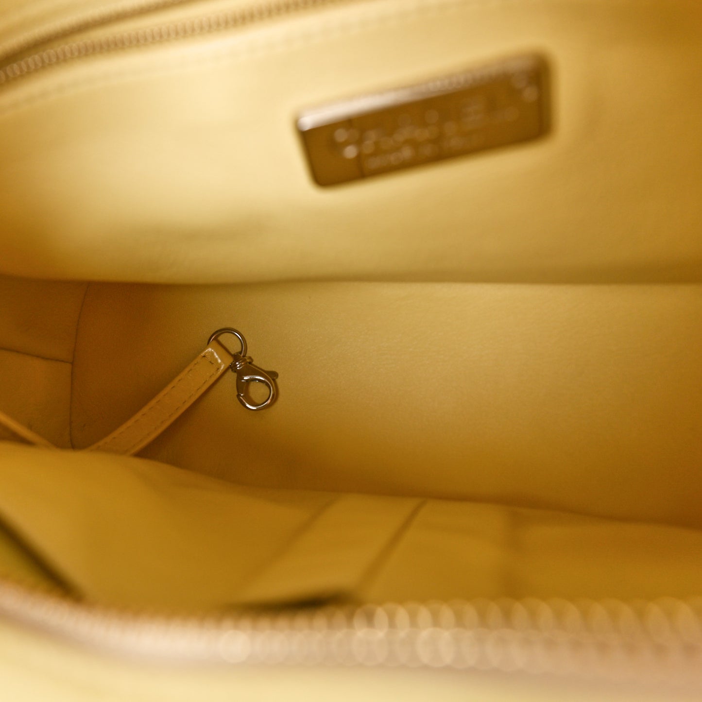 Snakeskin Medium Gabrielle Hobo Yellow Multicolor
