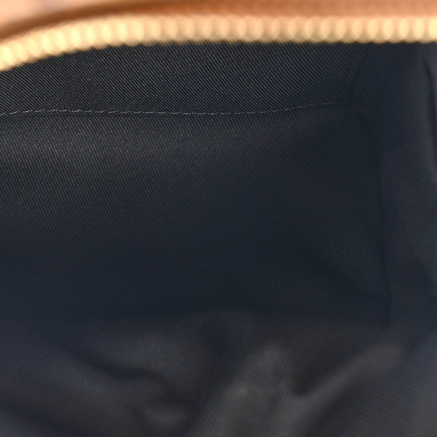 Louis Vuitton Reverse Monogram Palm Springs Backpack Mini 5 of 11