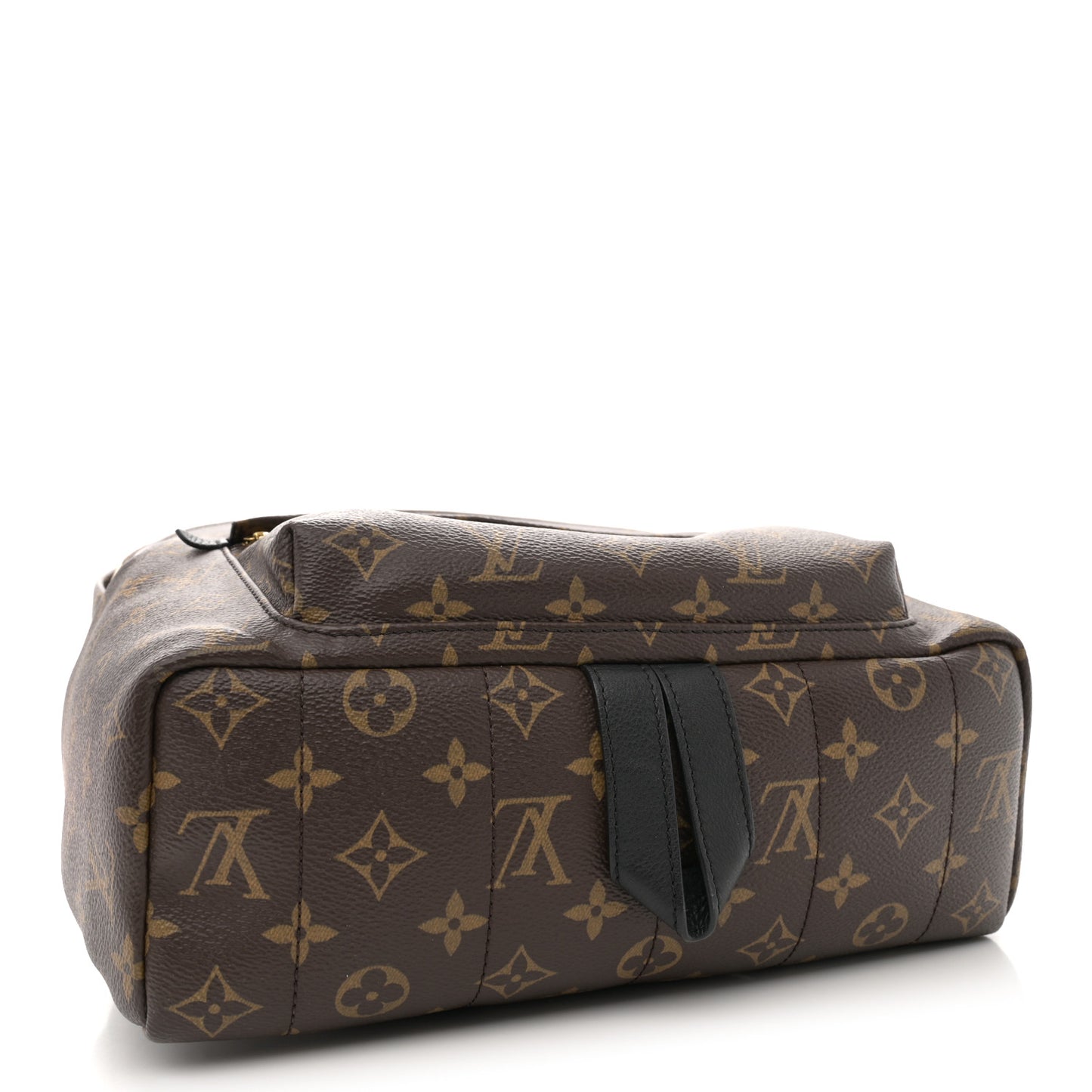 Monogram Palm Springs Backpack MM