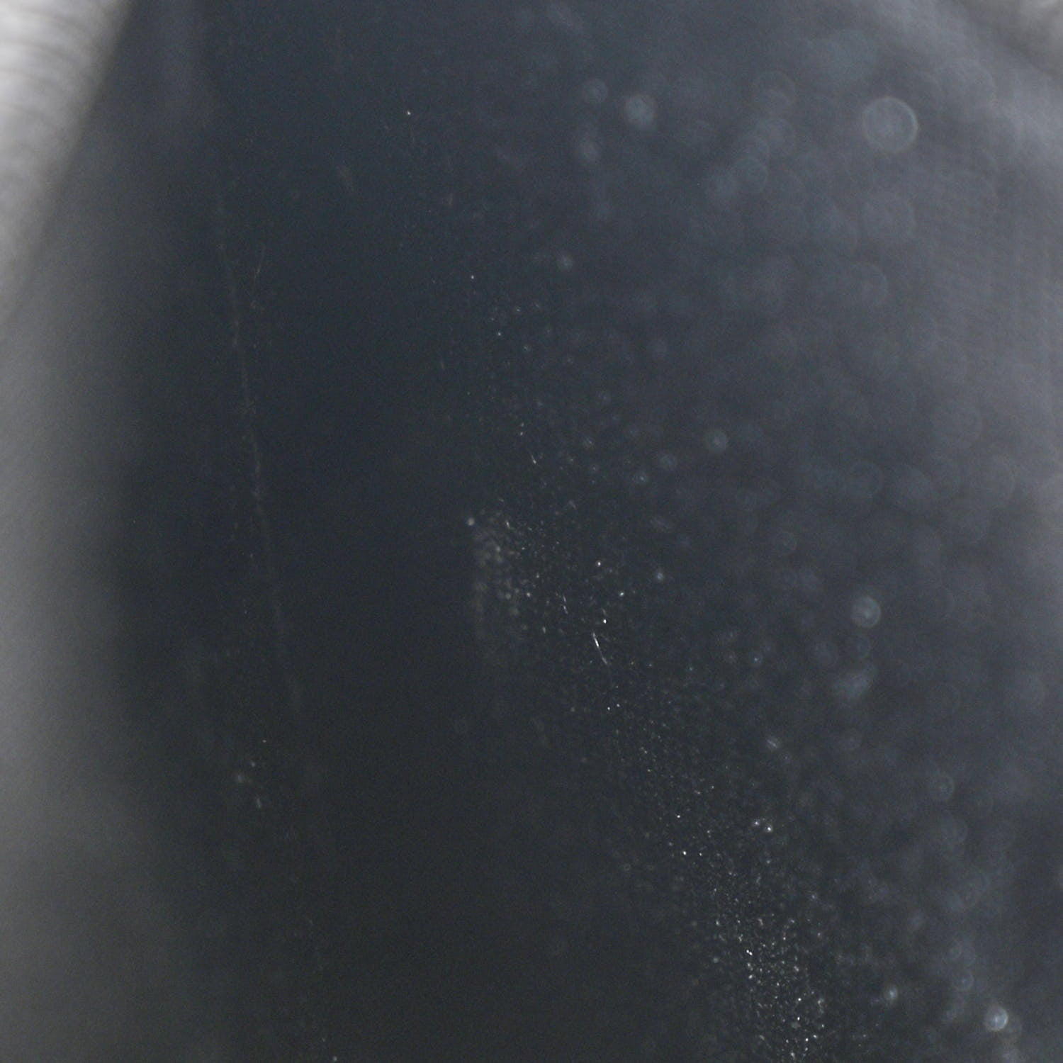 Chanel Crumpled Lambskin Studded Paris Dallas Wallet On Chain WOC Black 14 of 14