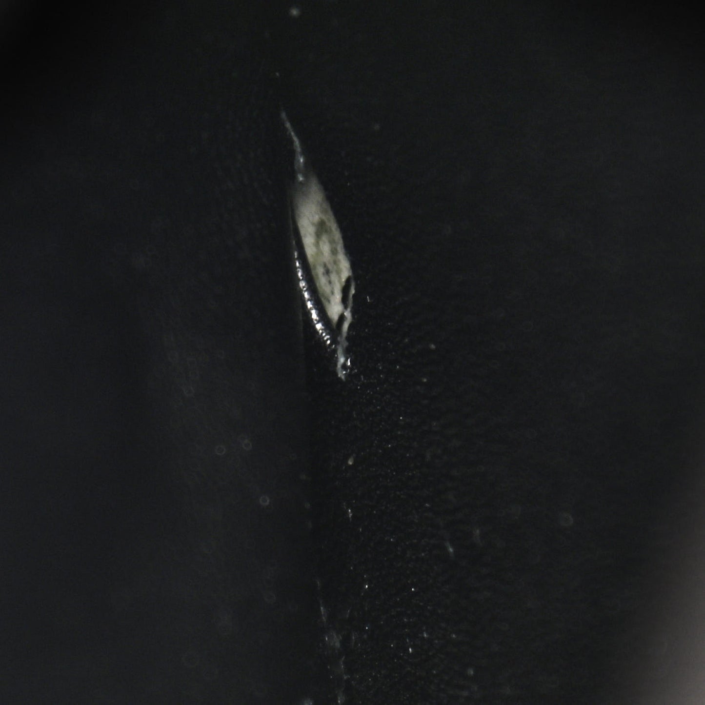 Grained Calfskin Compact Trotteur Black