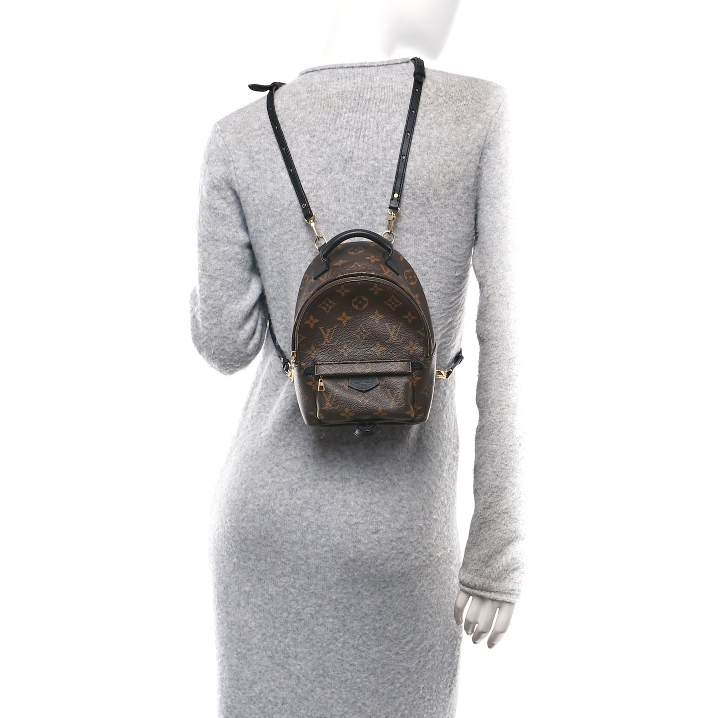 Monogram Palm Springs Backpack Mini
