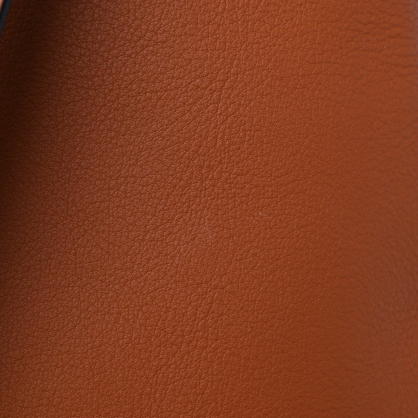 X William De Morgan Canvas Calfskin Tiles Vertical Tote Multicolor