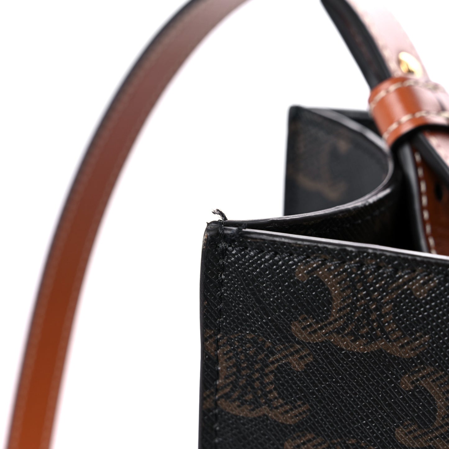 Triomphe Canvas Calfskin Paris Print Small Vertical Cabas Tan