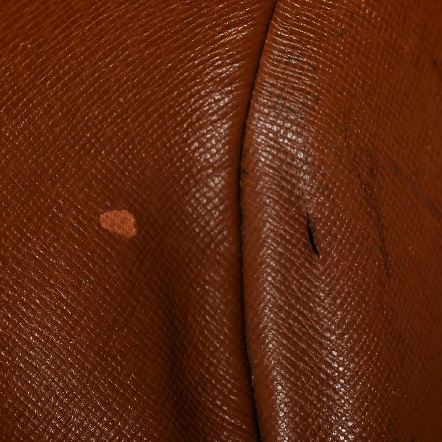 Monogram Papillon 26