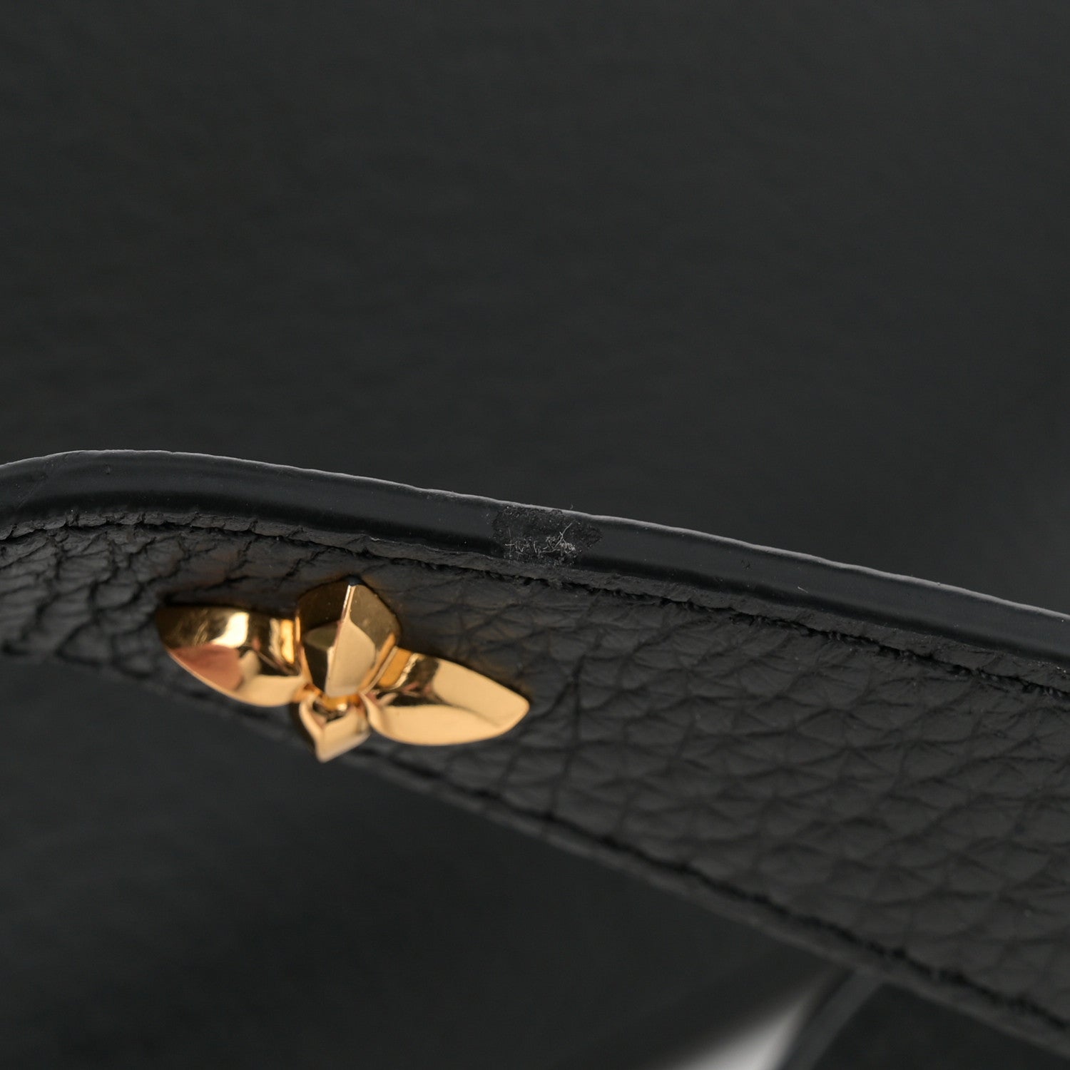 Louis Vuitton Taurillon Mechanical Flowers Smile Capucines PM Black 12 of 12