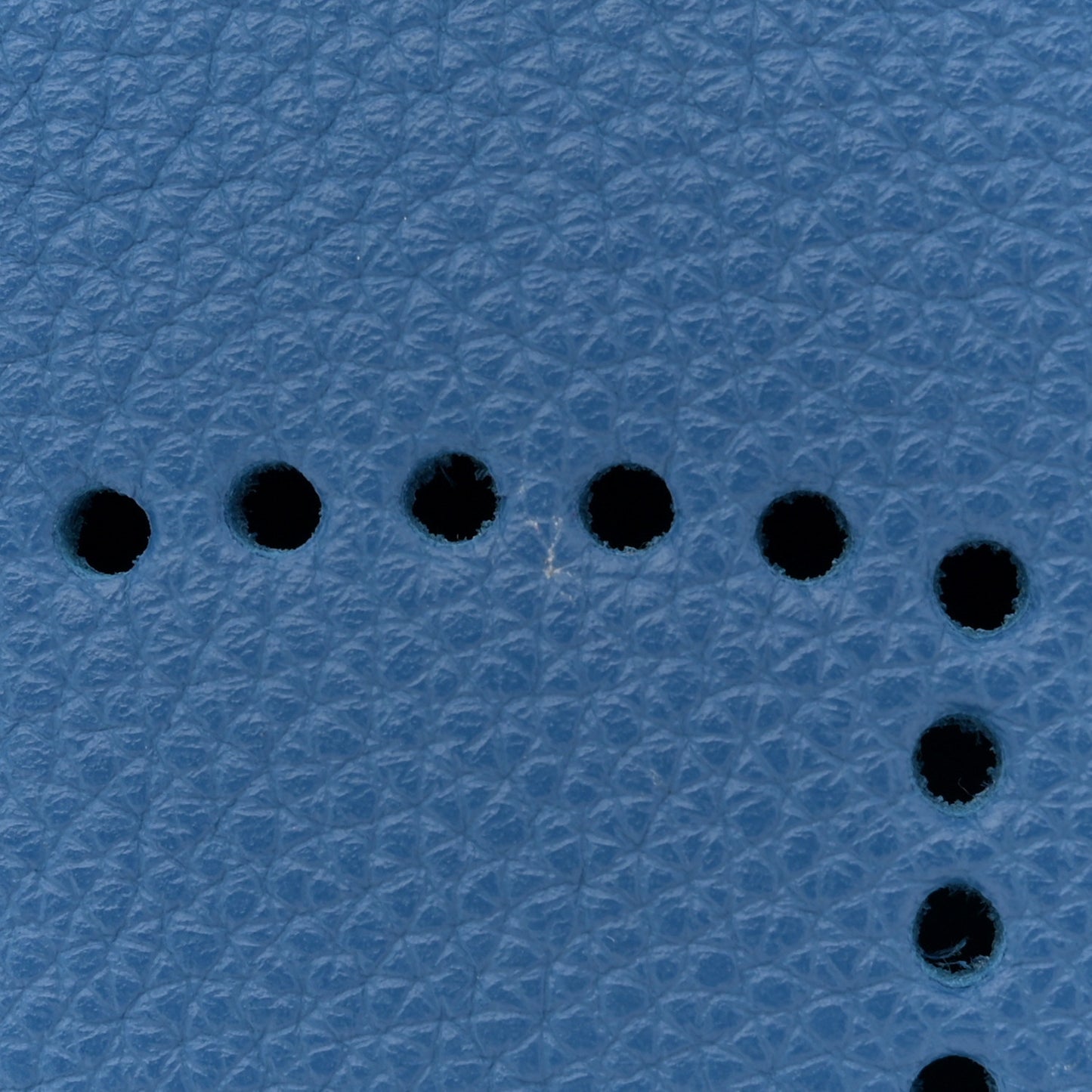 Taurillon Clemence Evelyne TPM Bleu France