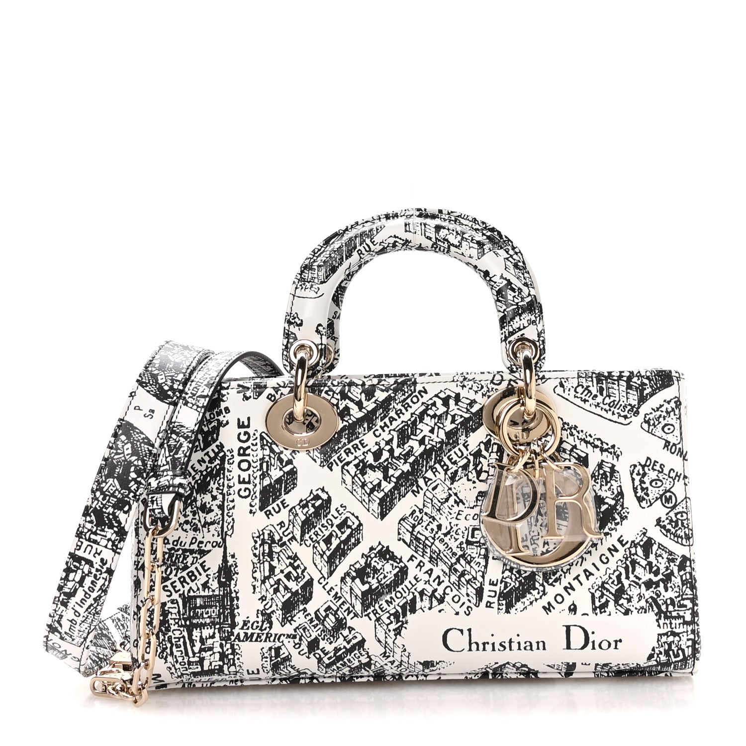 Christian Dior Calfskin Plan De Paris Printed Medium Lady D-Joy