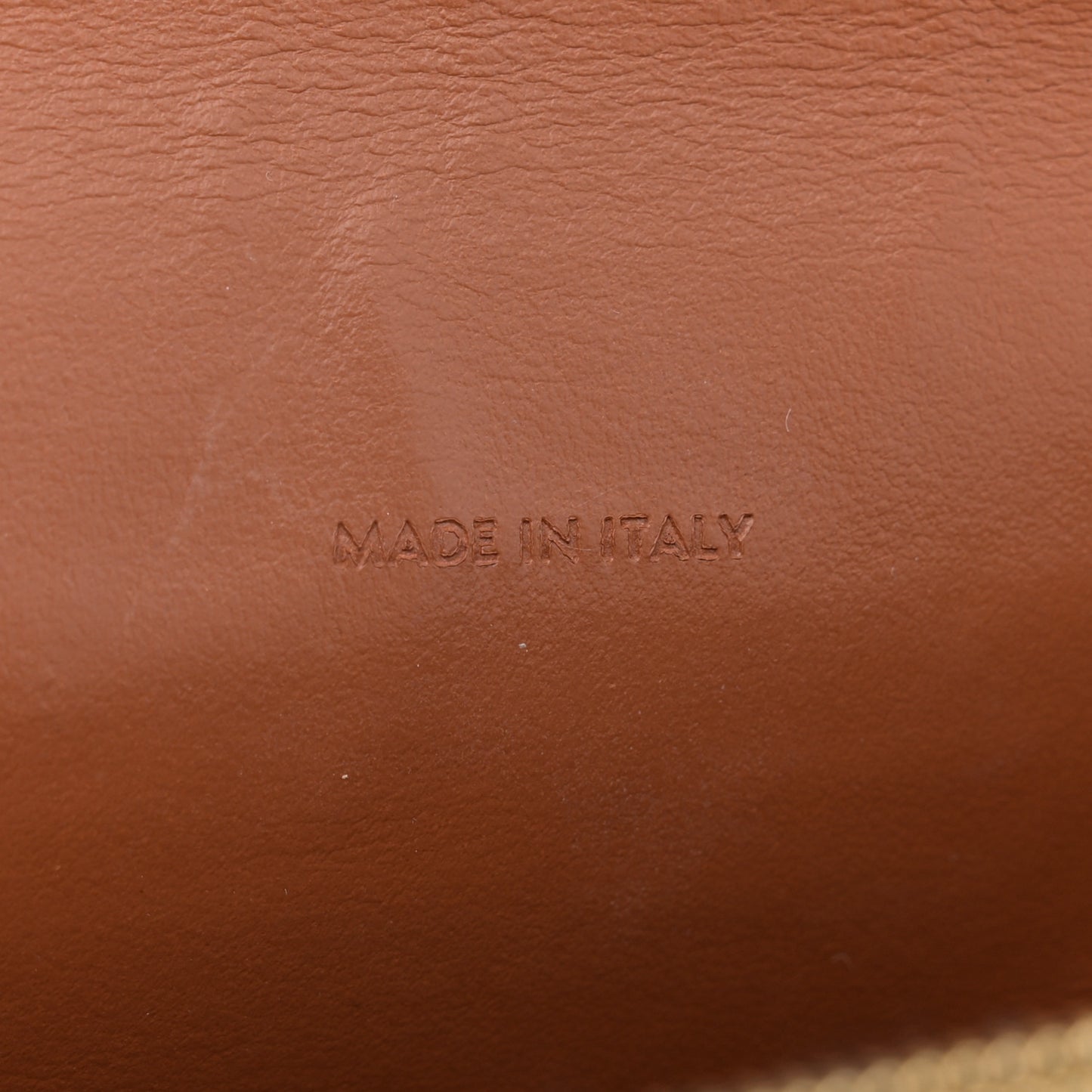 Triomphe Canvas Lambskin Wallet On Strap Tan