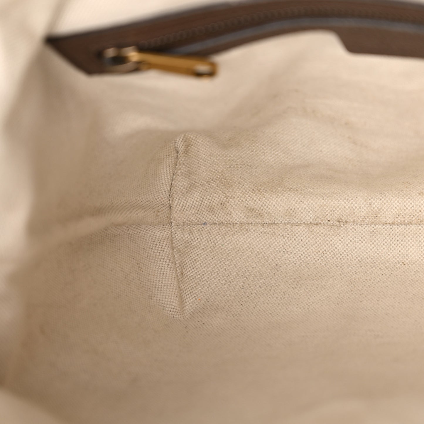 GG Supreme Monogram Web Small Ophidia Half Moon Hobo Brown