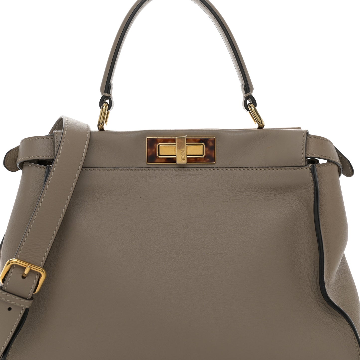 Vitello Seta Plexiglass Tortoise Medium Peekaboo Iconic Satchel Tortora
