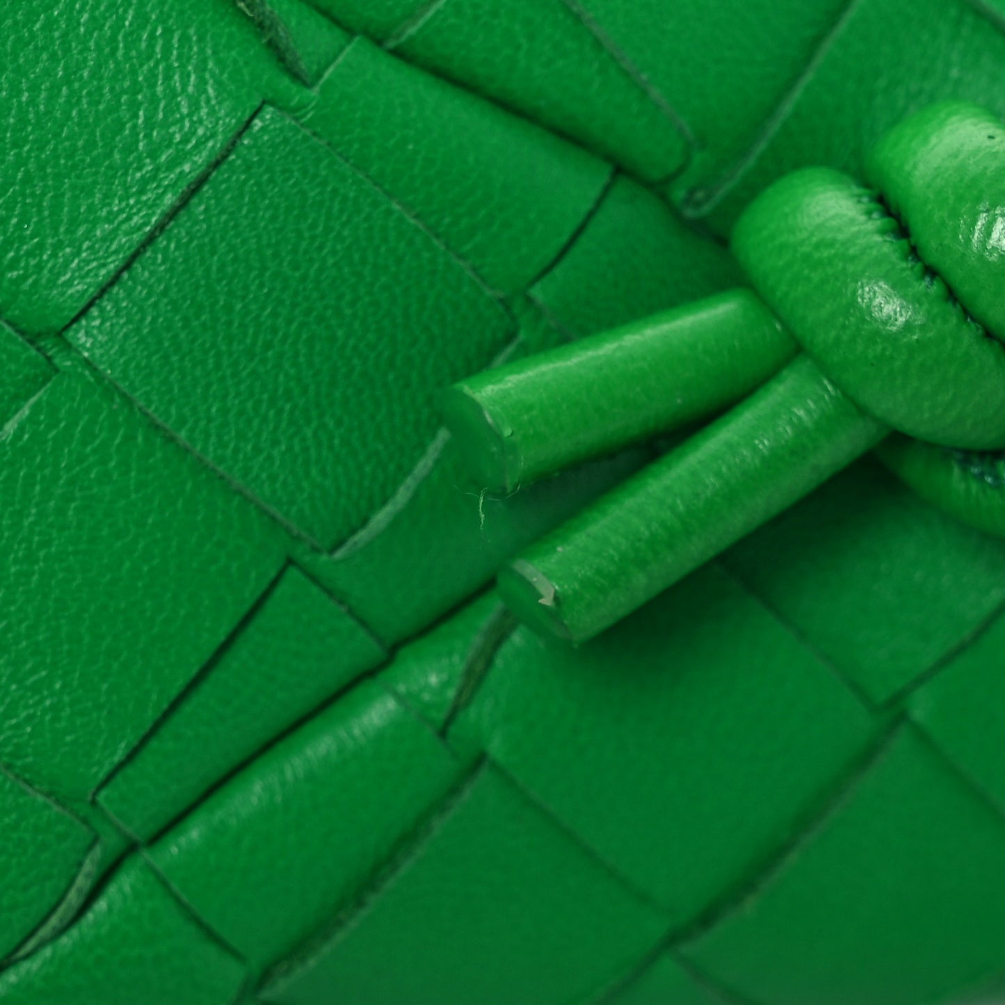 Nappa Intrecciato Mini Loop Camera Bag Parakeet