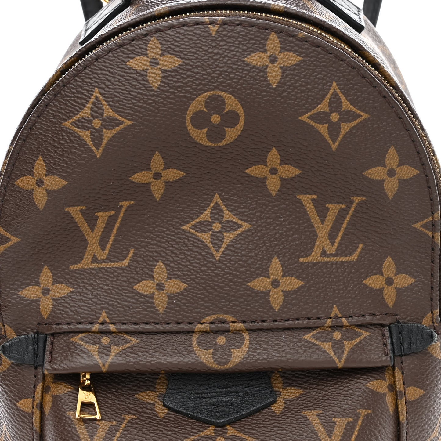 Monogram Palm Springs Backpack Mini