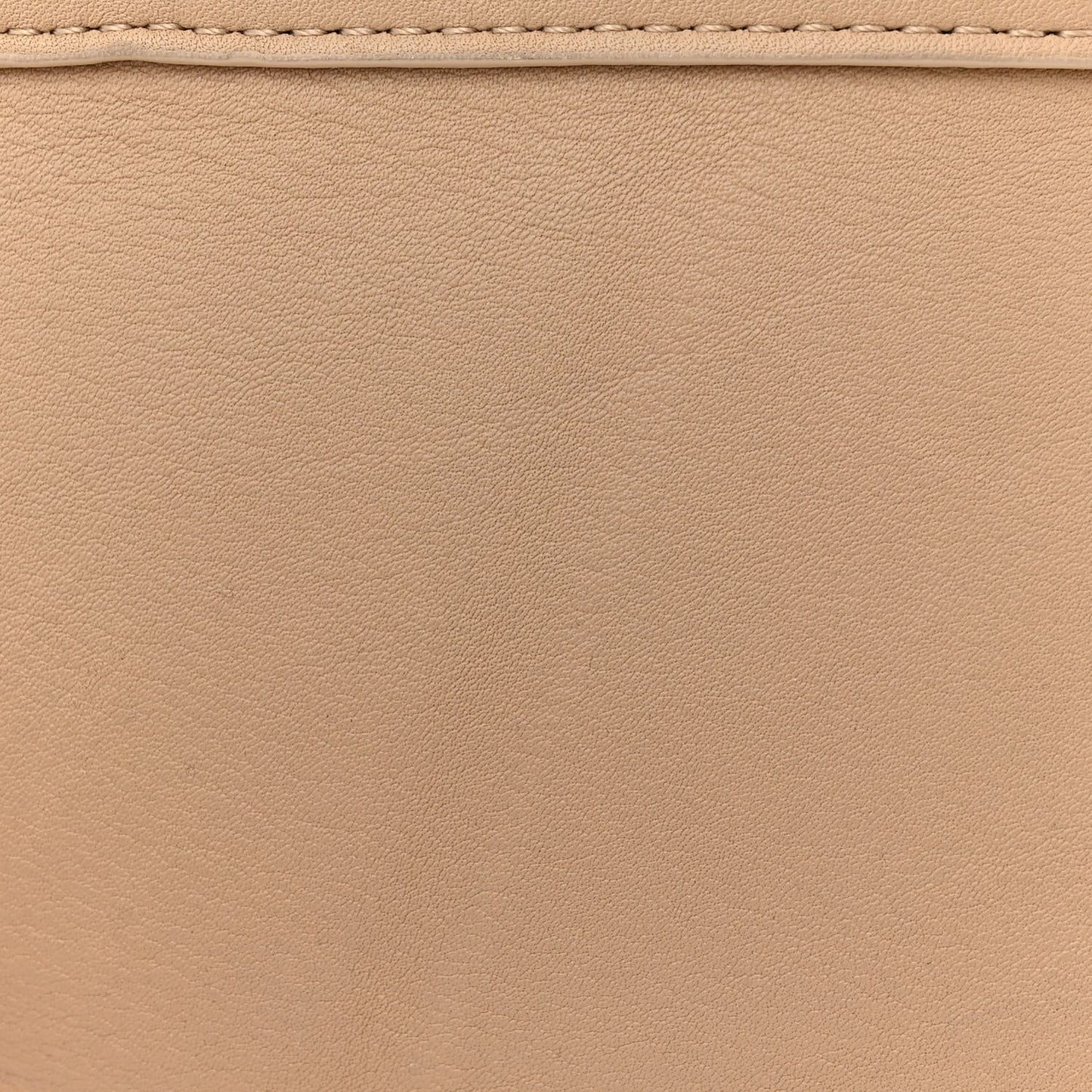 Calfskin Medium N/S Park Tote Dune