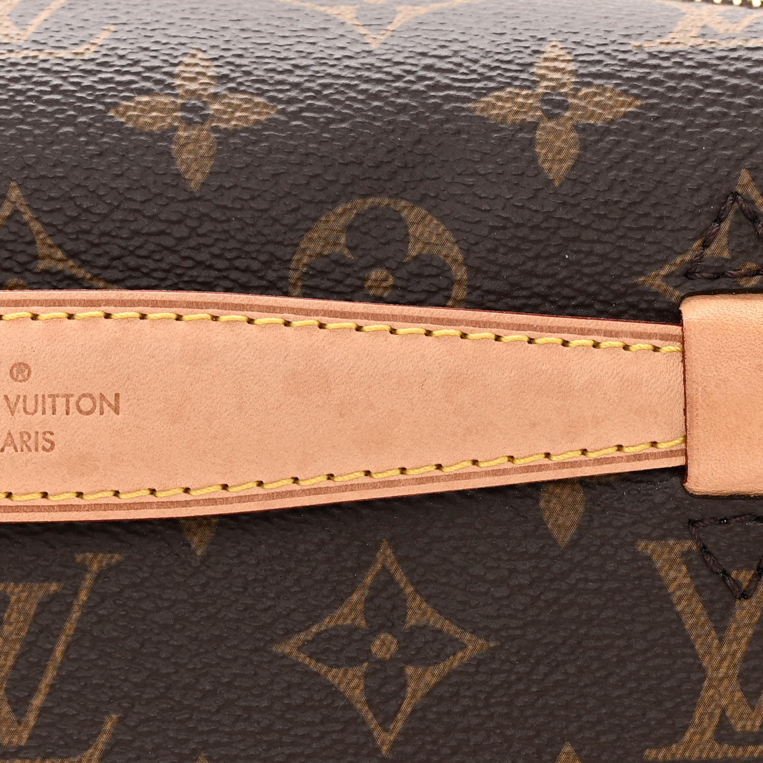 Louis Vuitton Monogram Bumbag 10 of 14