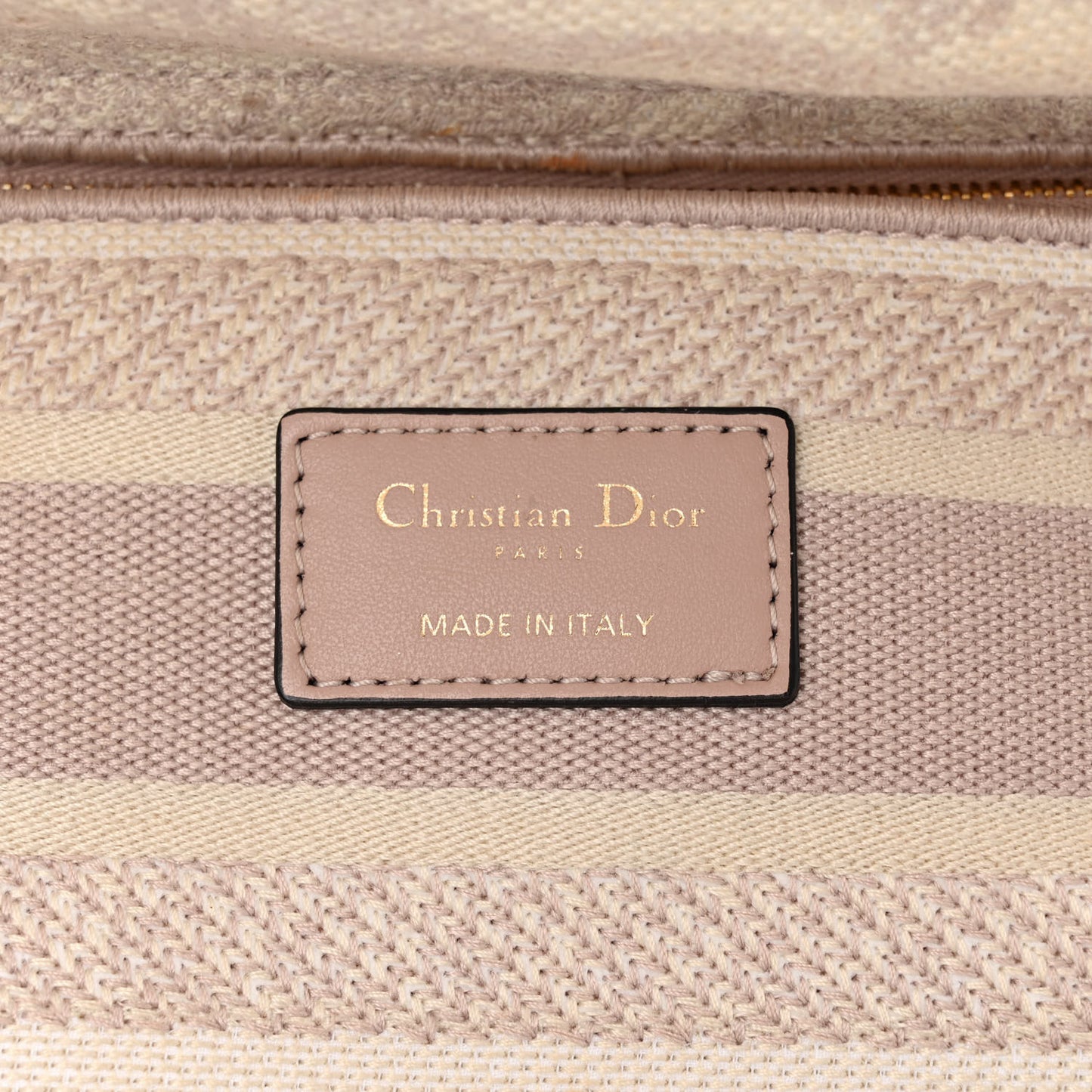 Canvas Toile De Jouy Reverse Embroidered Medium Lady D-Lite Rose