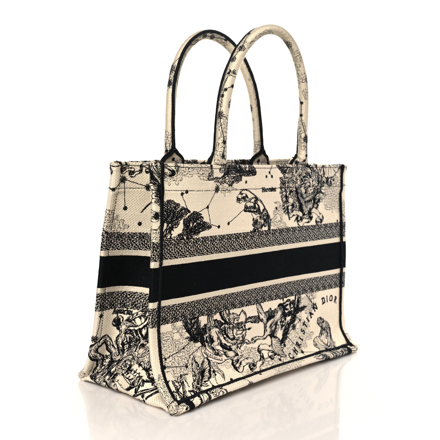 Canvas Zodiac Toile De Jouy Embroidered Medium Book Latte