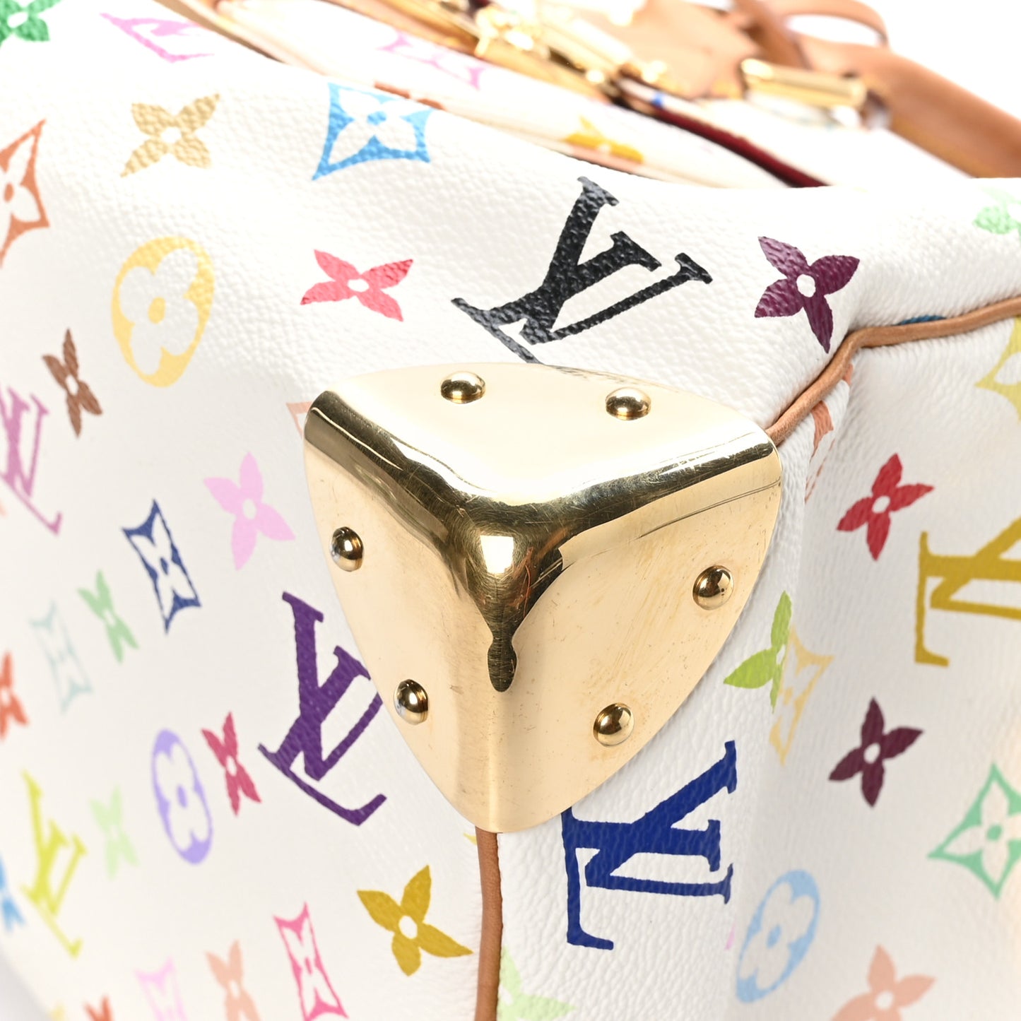 Monogram Multicolor Speedy 30 White