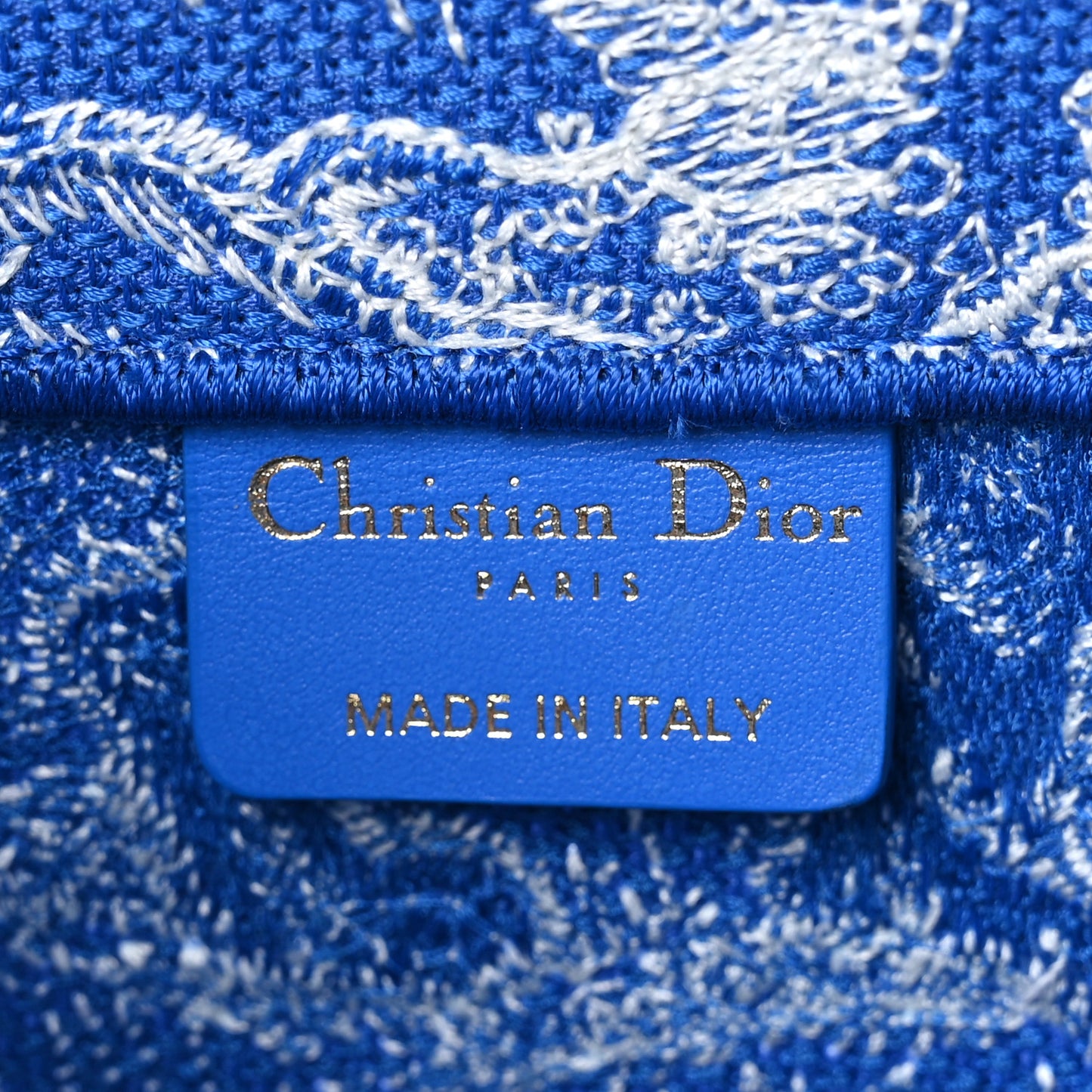Canvas Embroidered Medium Dioriviera Toile De Jouy Book Tote Fluorescent Blue