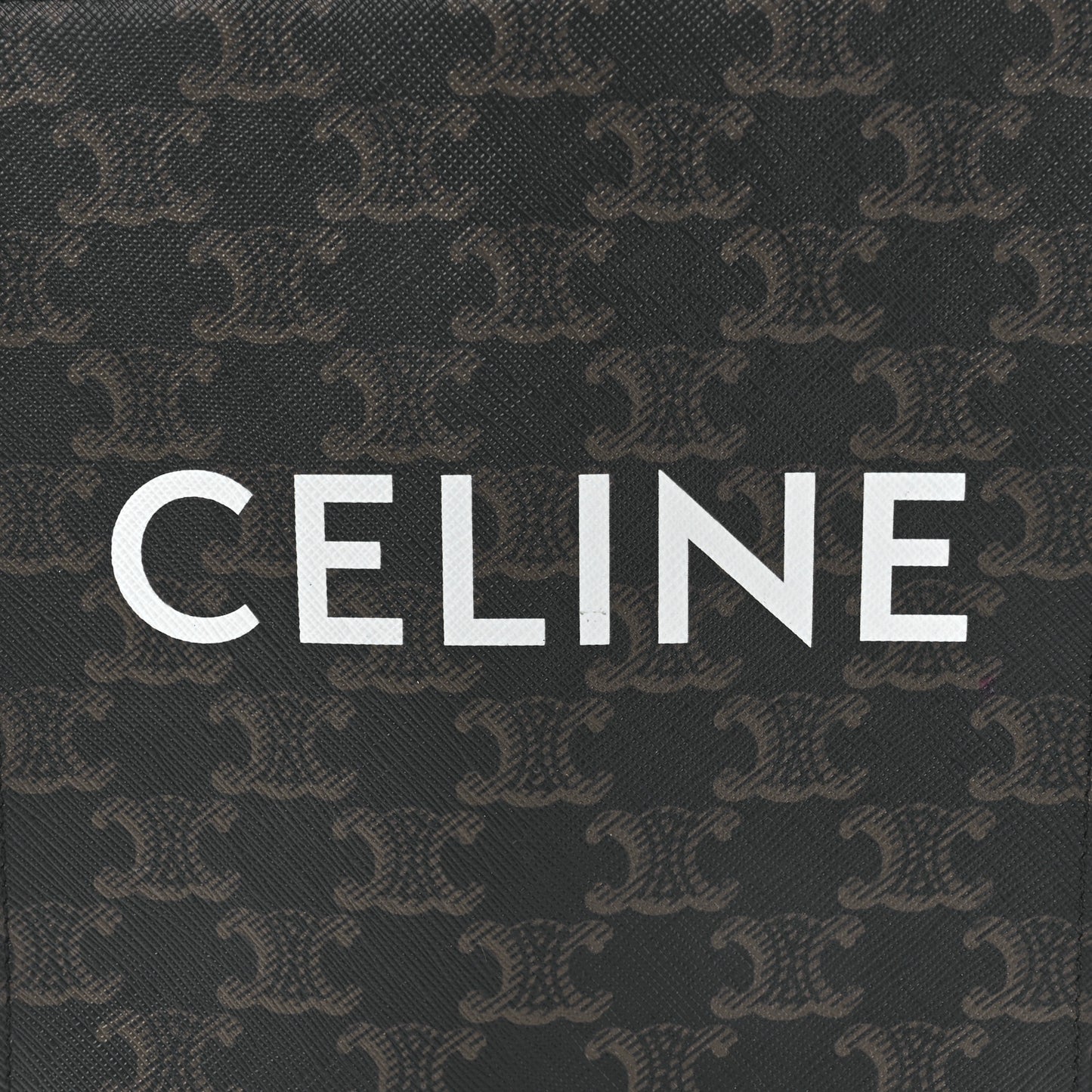 Triomphe Canvas Calfskin Mini Vertical Cabas Tan