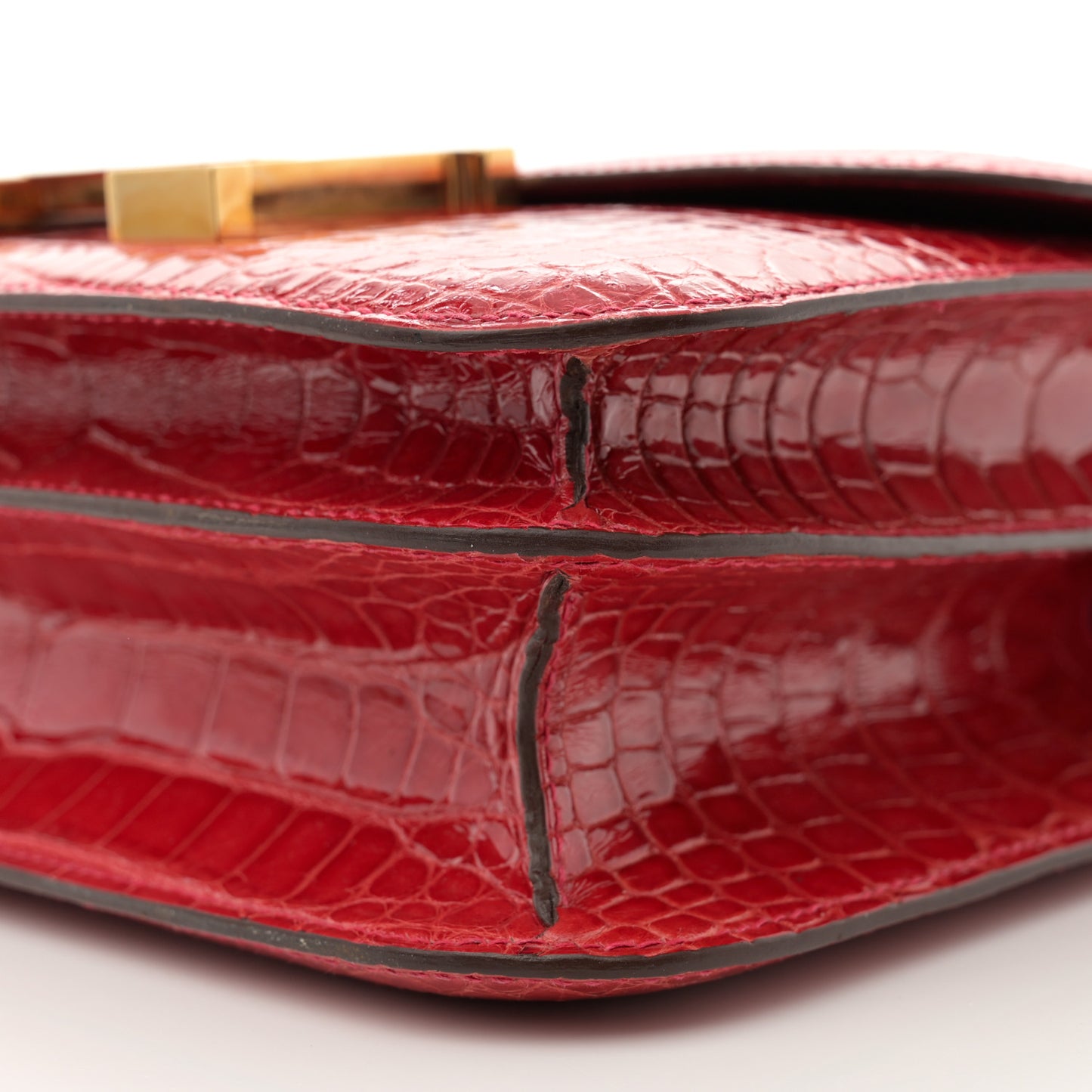 Shiny Alligator Constance 24 Braise