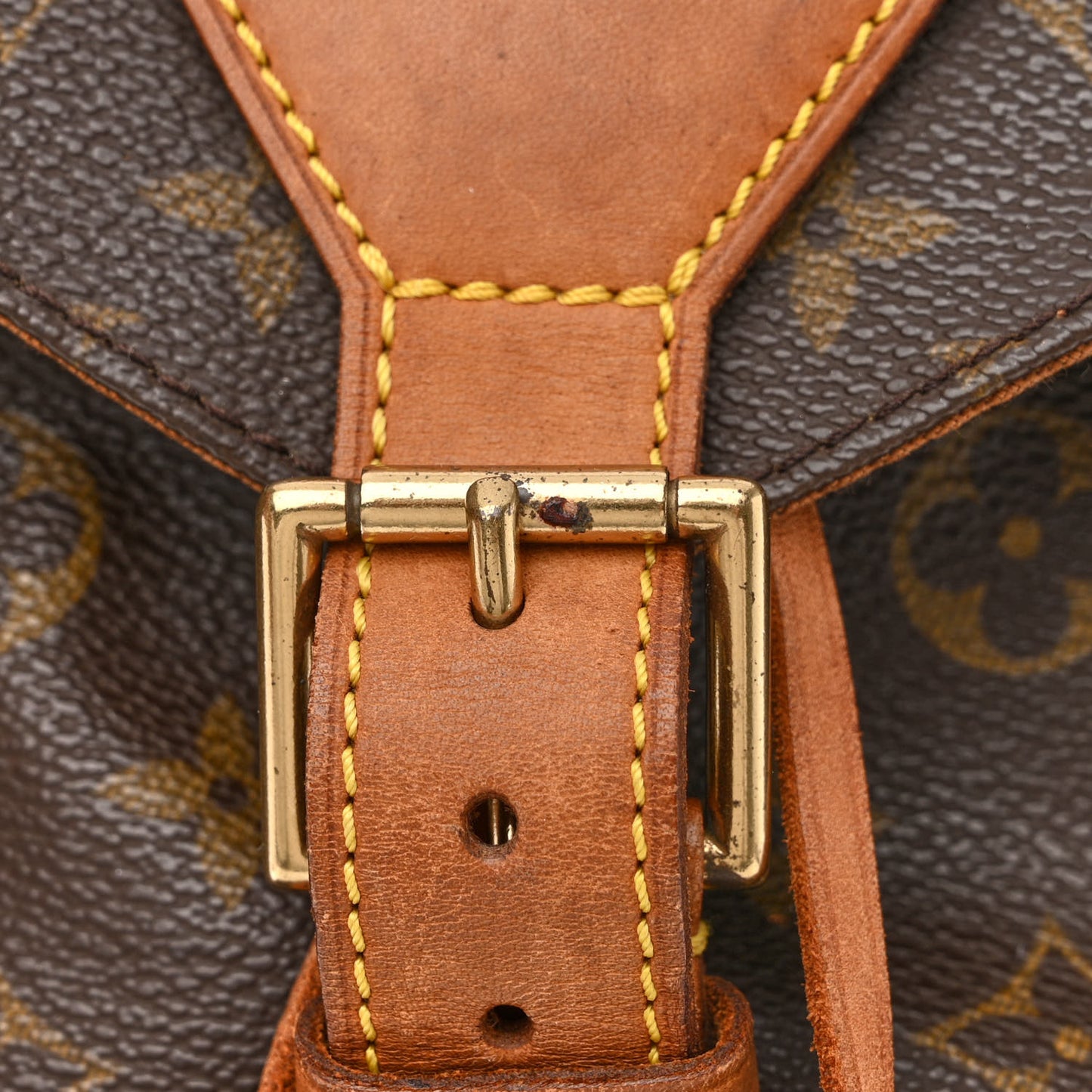 Monogram Montsouris GM Backpack