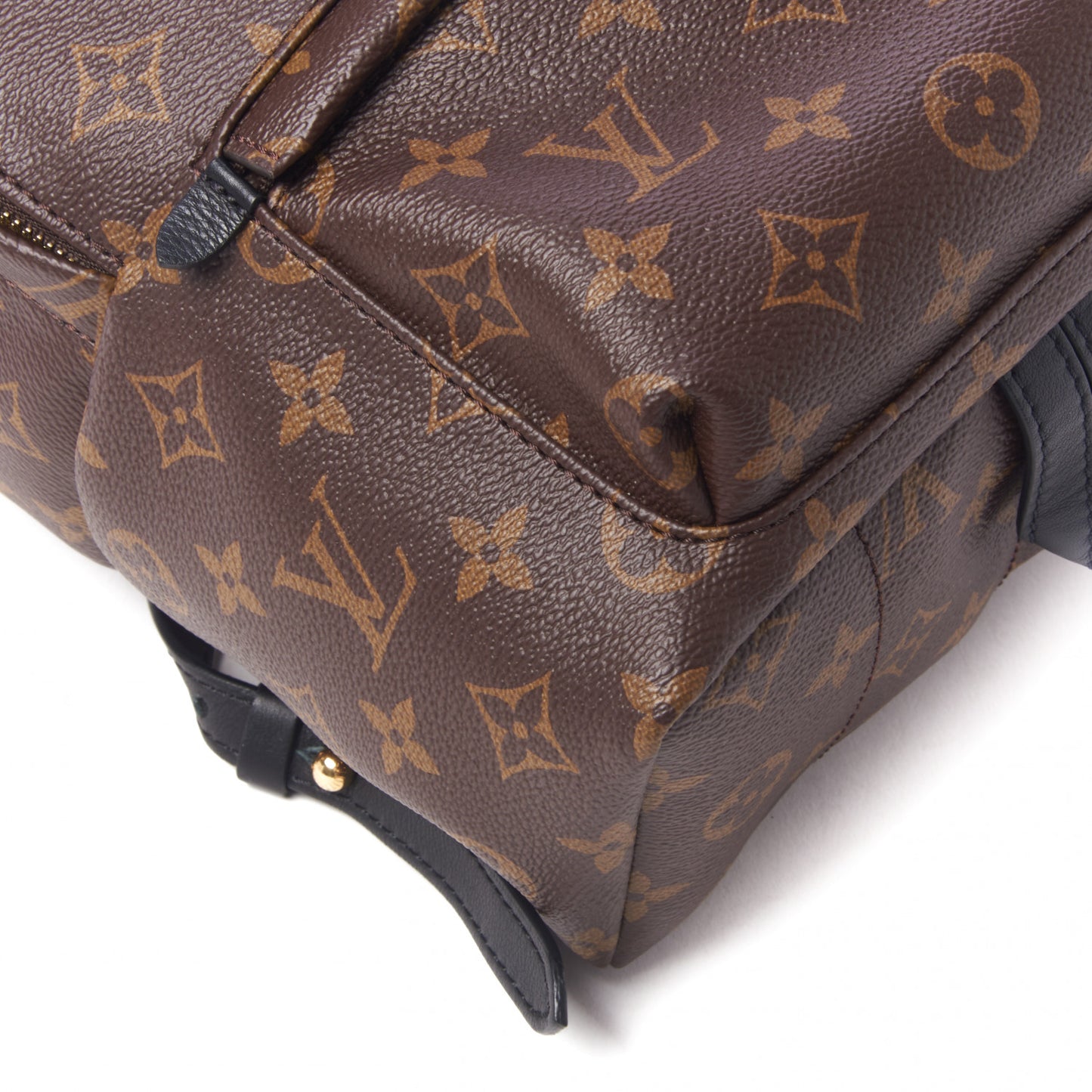 Monogram Palm Springs Backpack PM